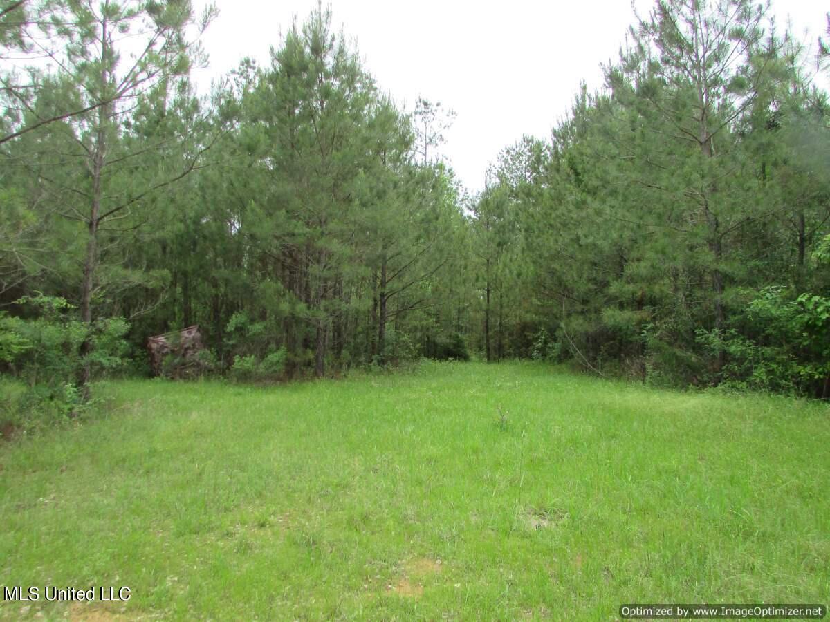 Lot 2 Permenter Road, Canton, Mississippi image 8