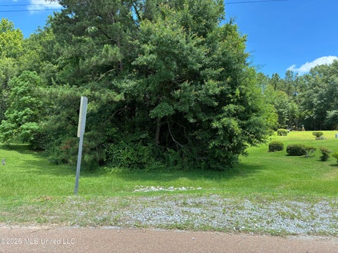 Vacant Land For Sale - Washington Street<br/> Magnolia, MS 39652
