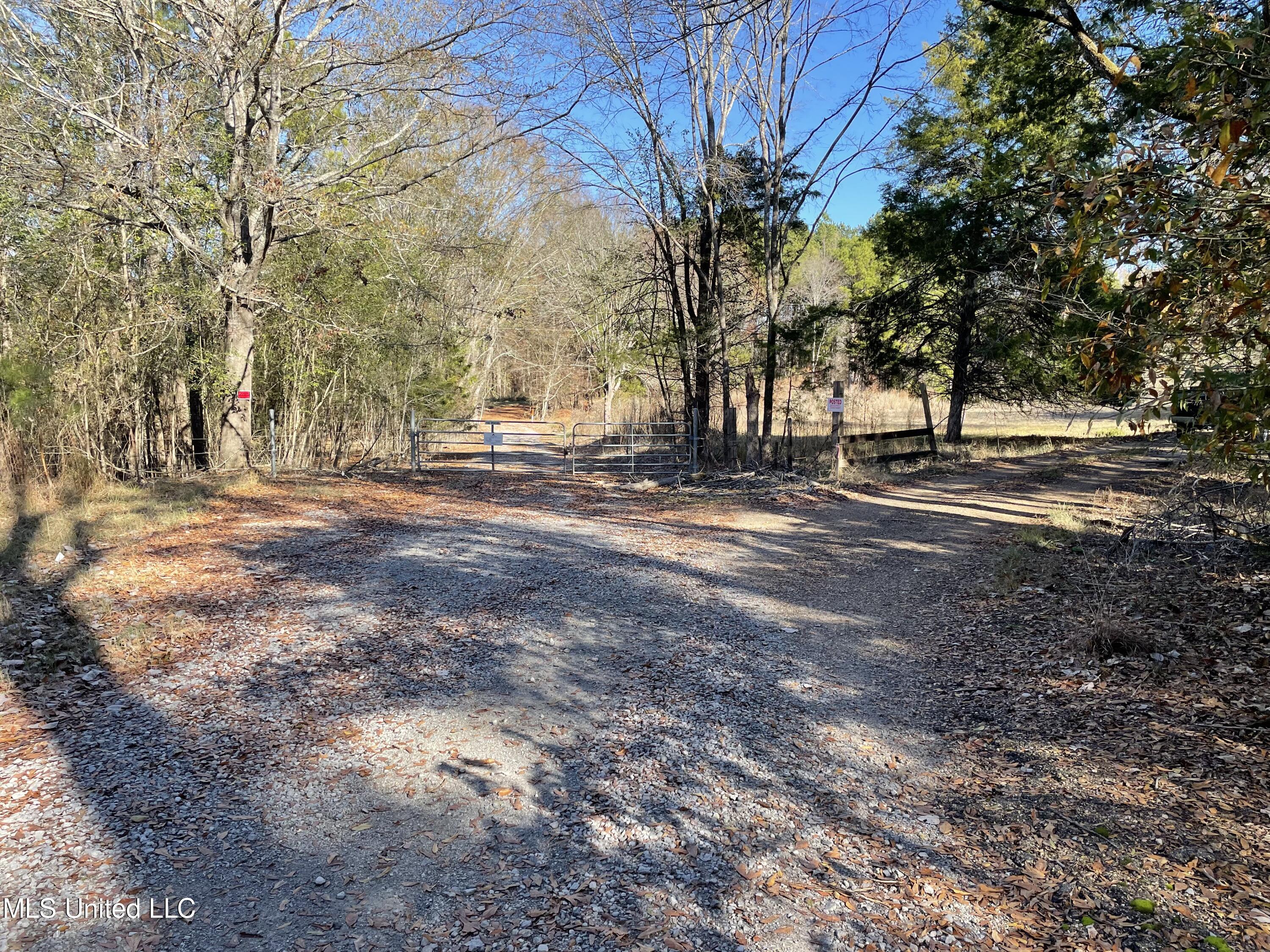 Robinson Springs Road, Madison, Mississippi image 3