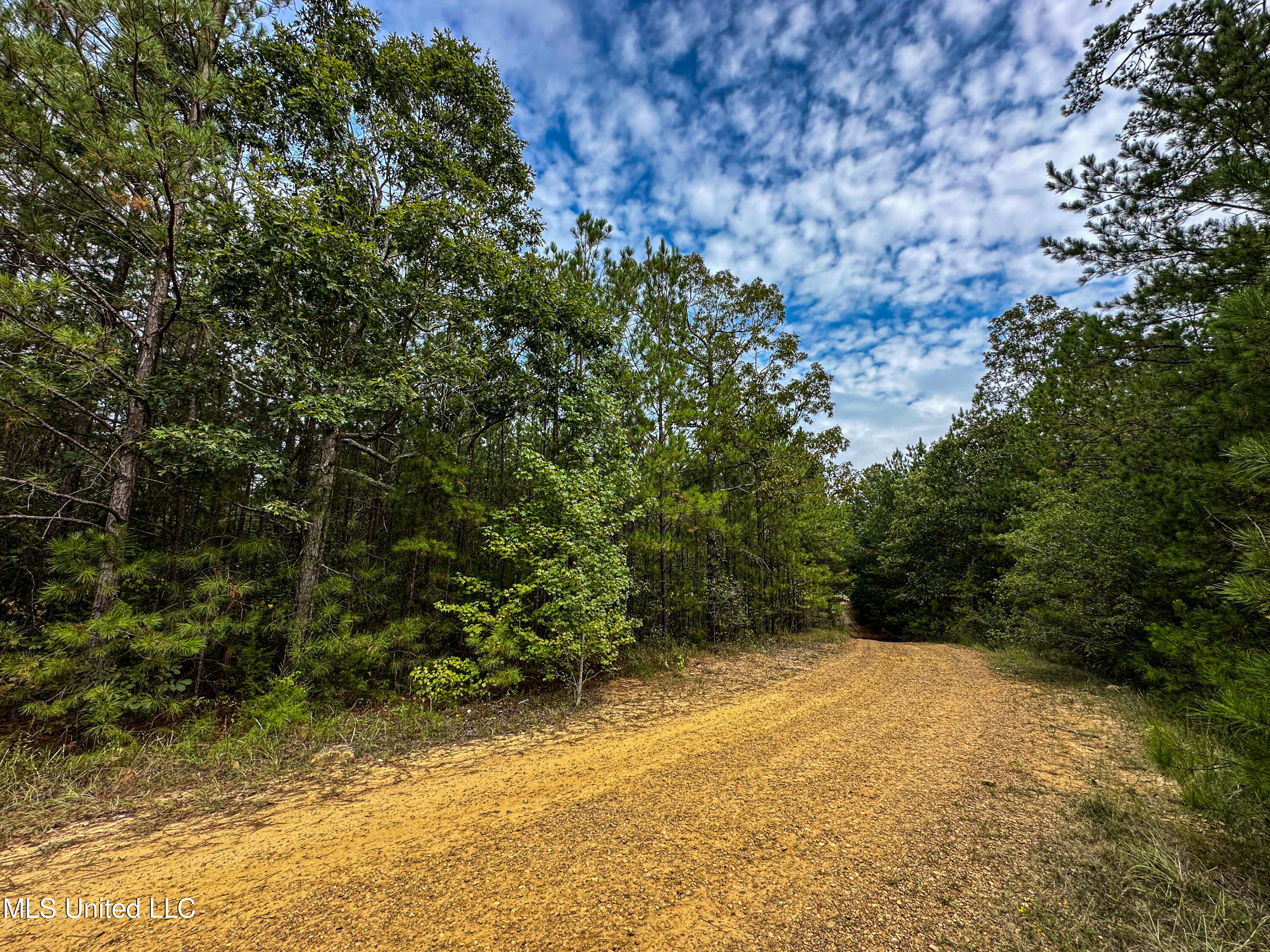 Pleasant Grove Road, Carthage, Mississippi image 3