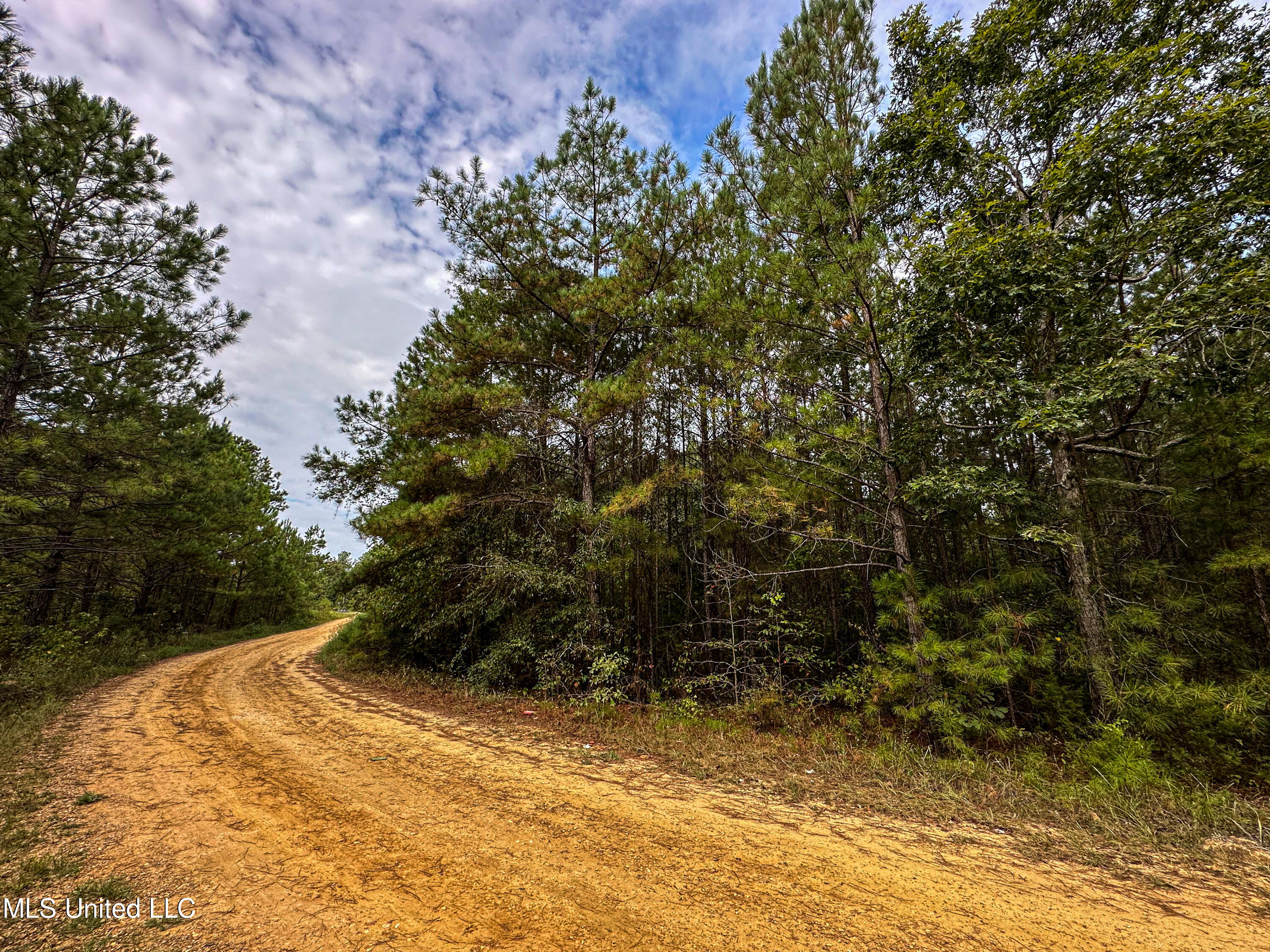 Pleasant Grove Road, Carthage, Mississippi image 12