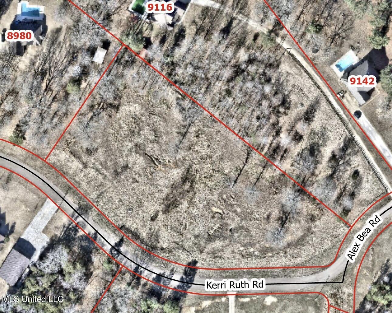 9050 Kerri Ruth Road, Hernando, Mississippi image 3