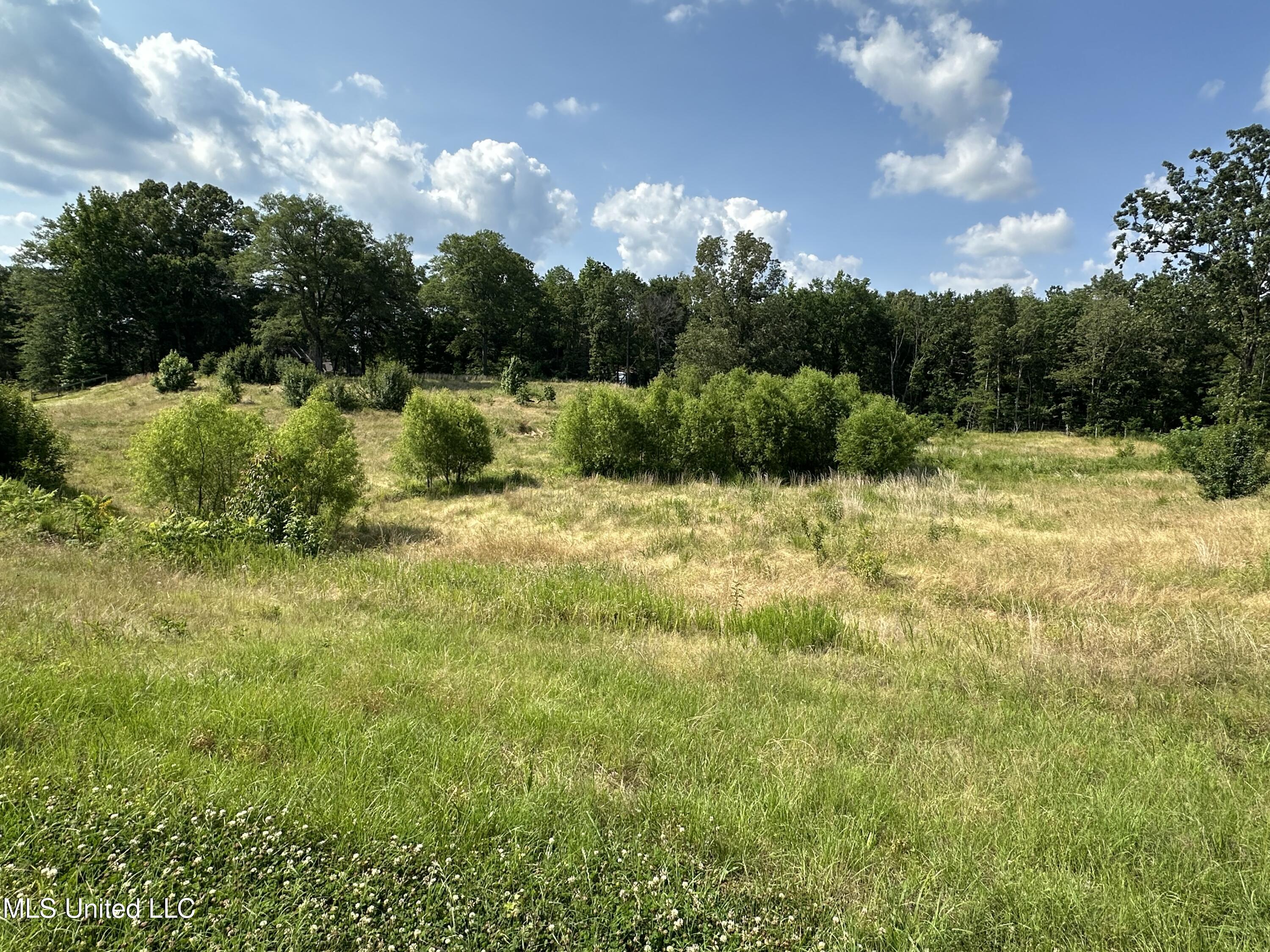 9050 Kerri Ruth Road, Hernando, Mississippi image 2