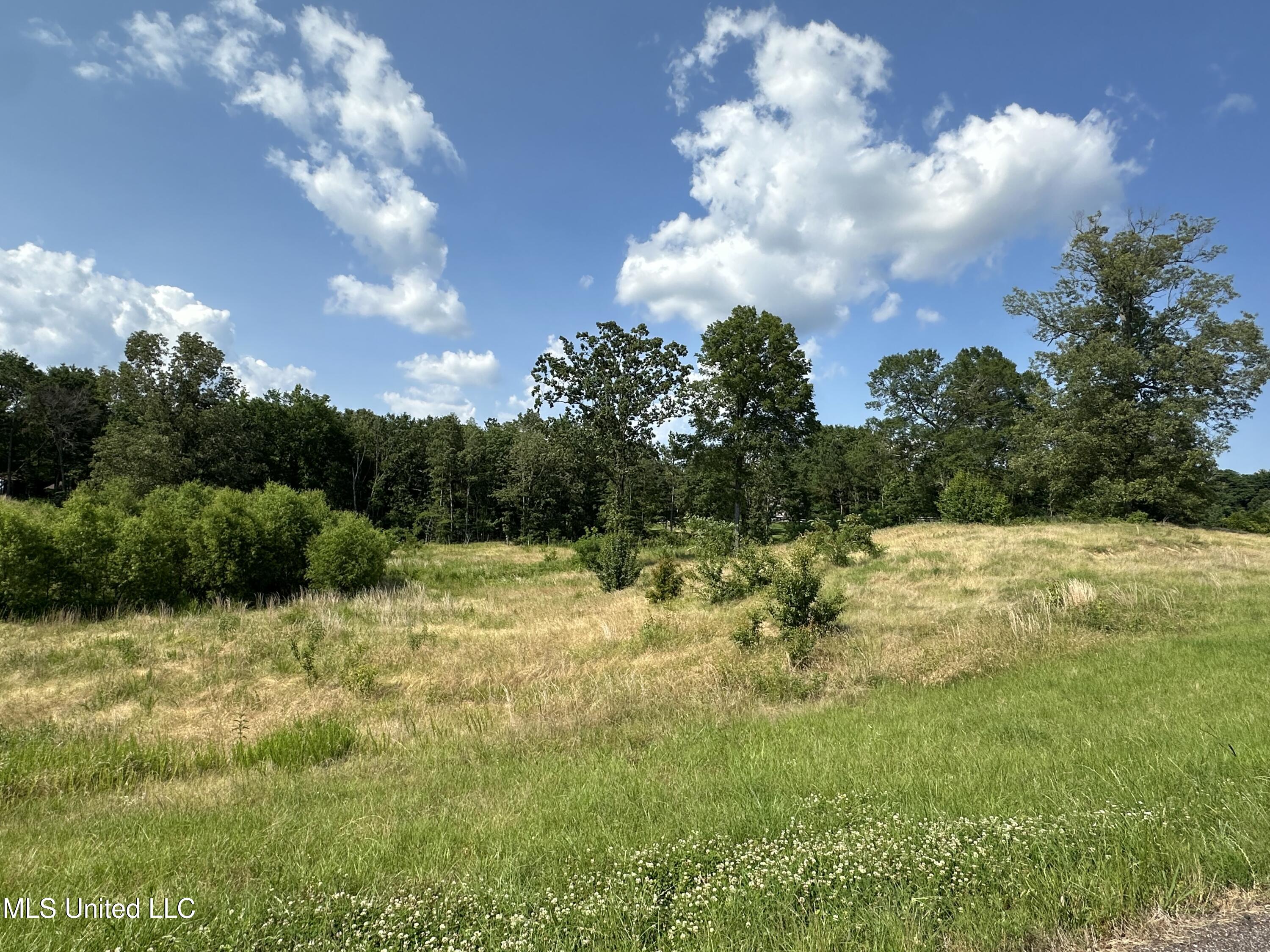 9050 Kerri Ruth Road, Hernando, Mississippi image 1
