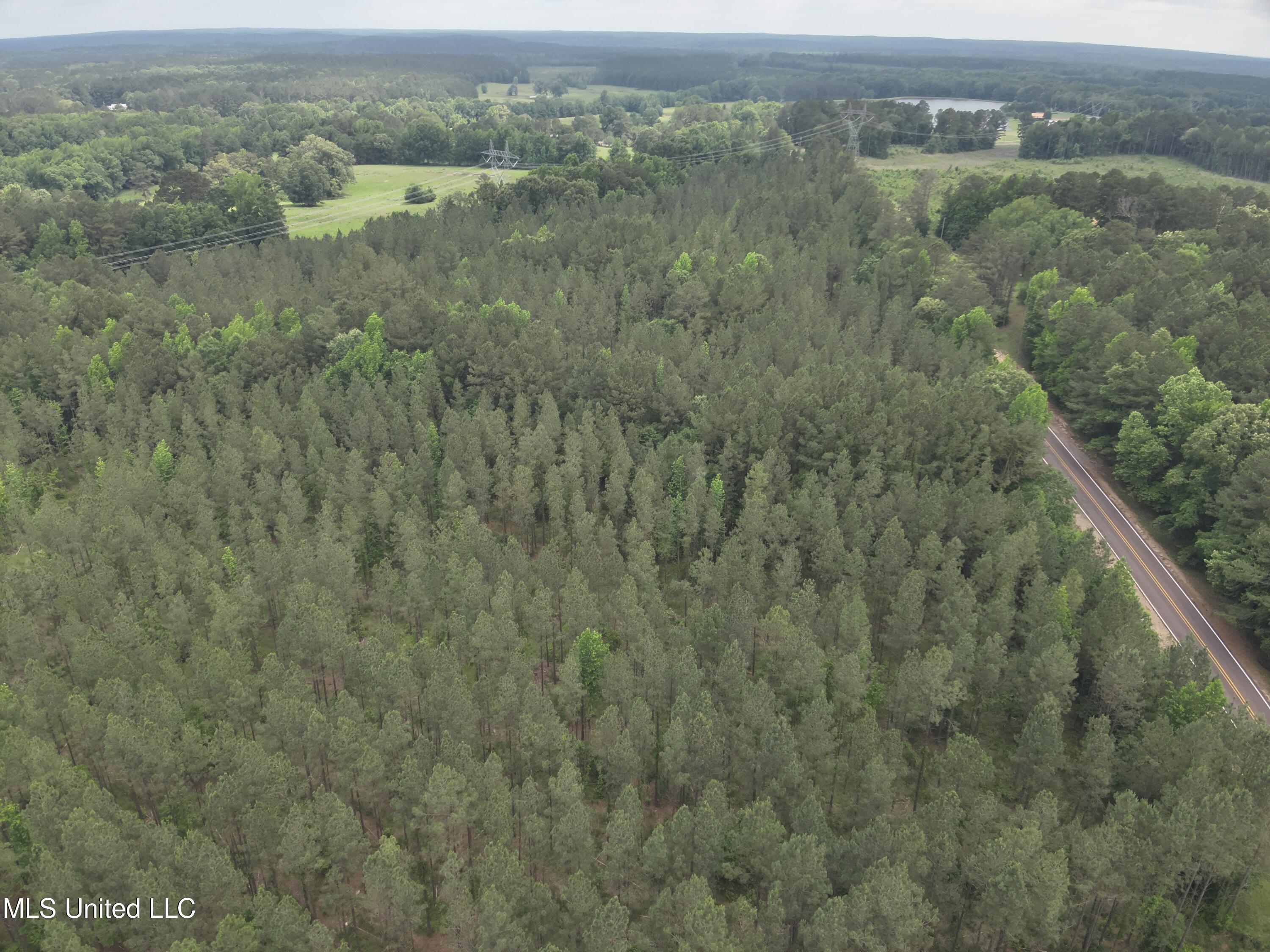 Hwy  429, Sallis, Mississippi image 9