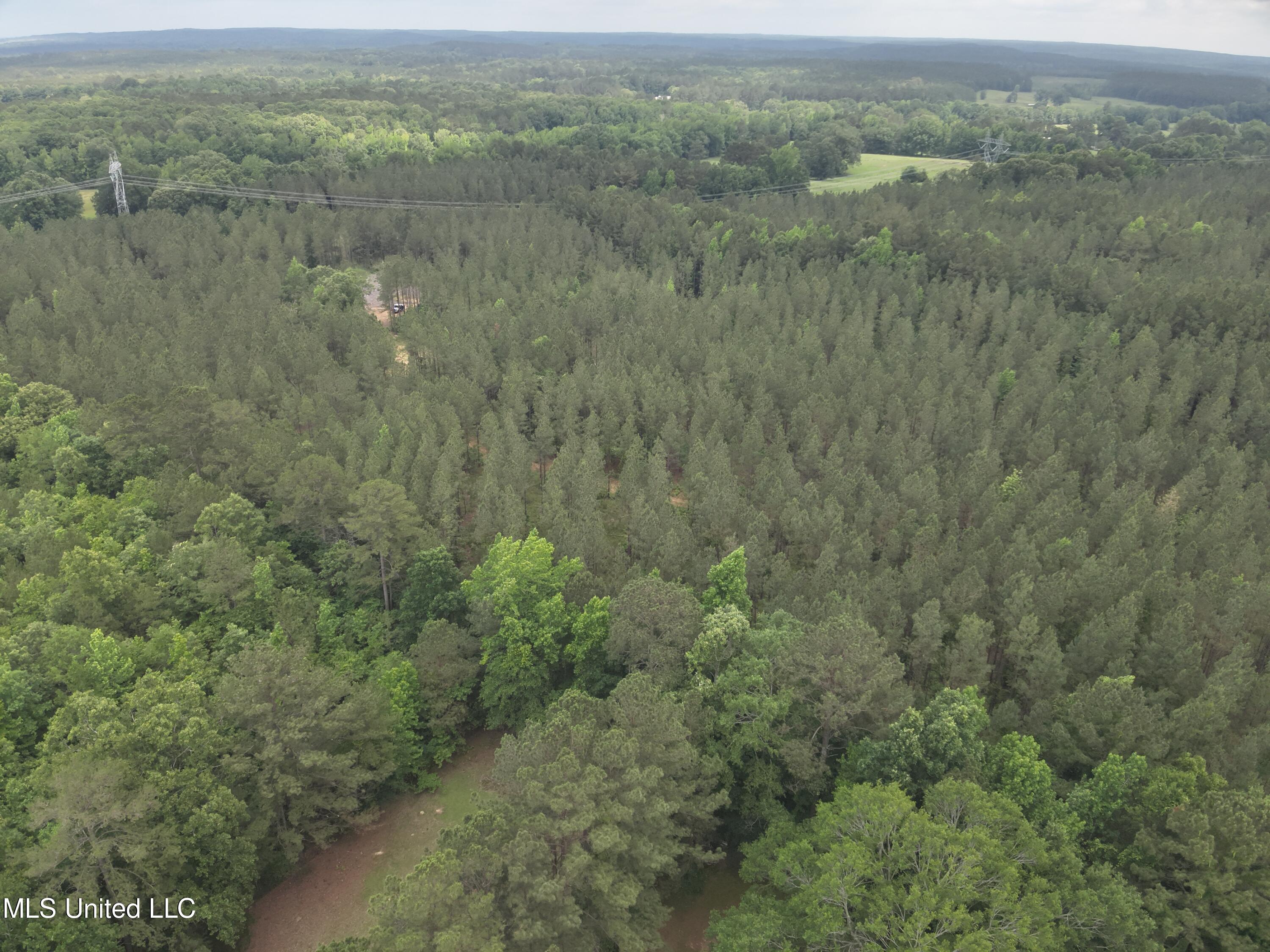 Hwy  429, Sallis, Mississippi image 8