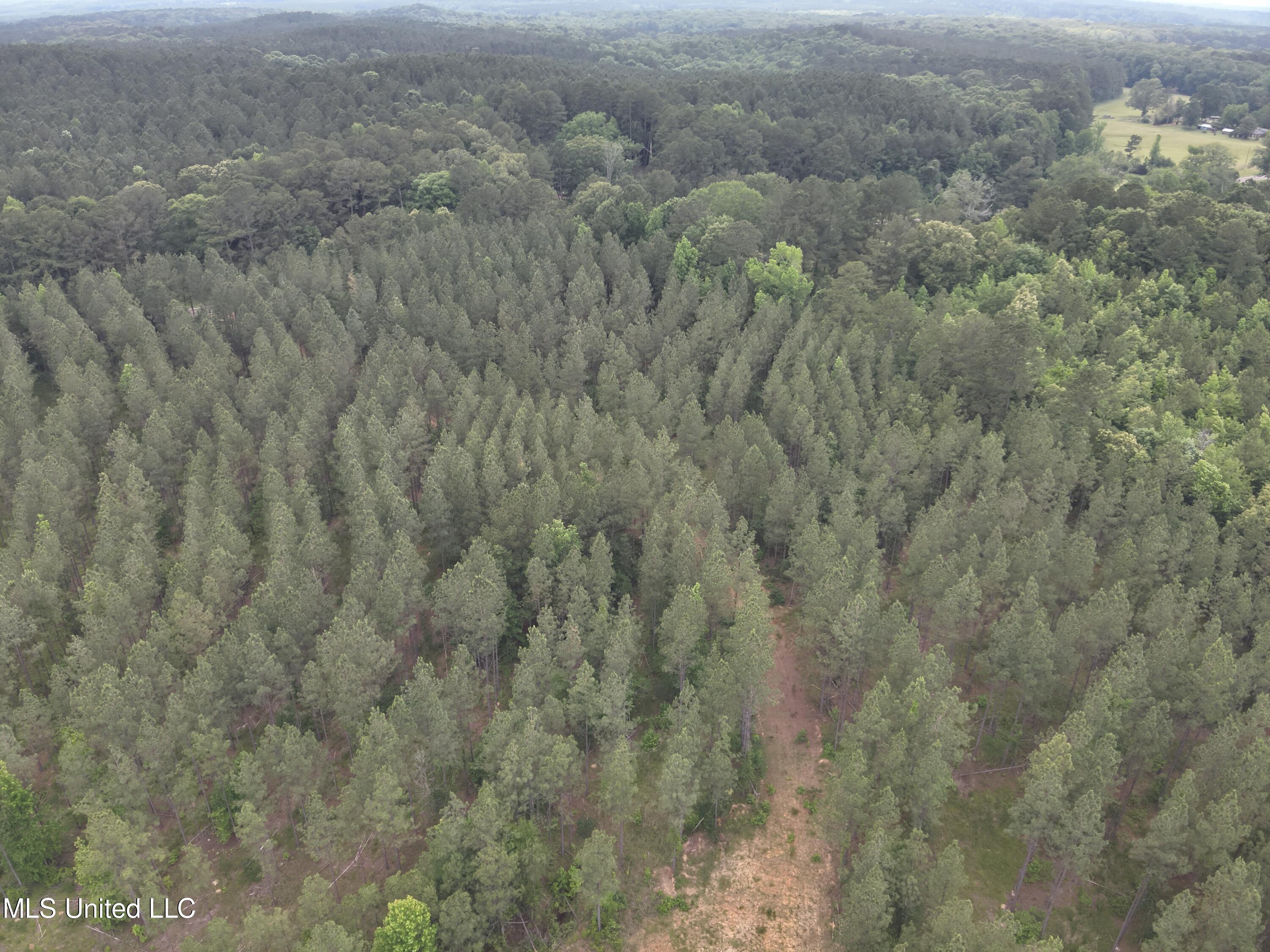 Hwy  429, Sallis, Mississippi image 5