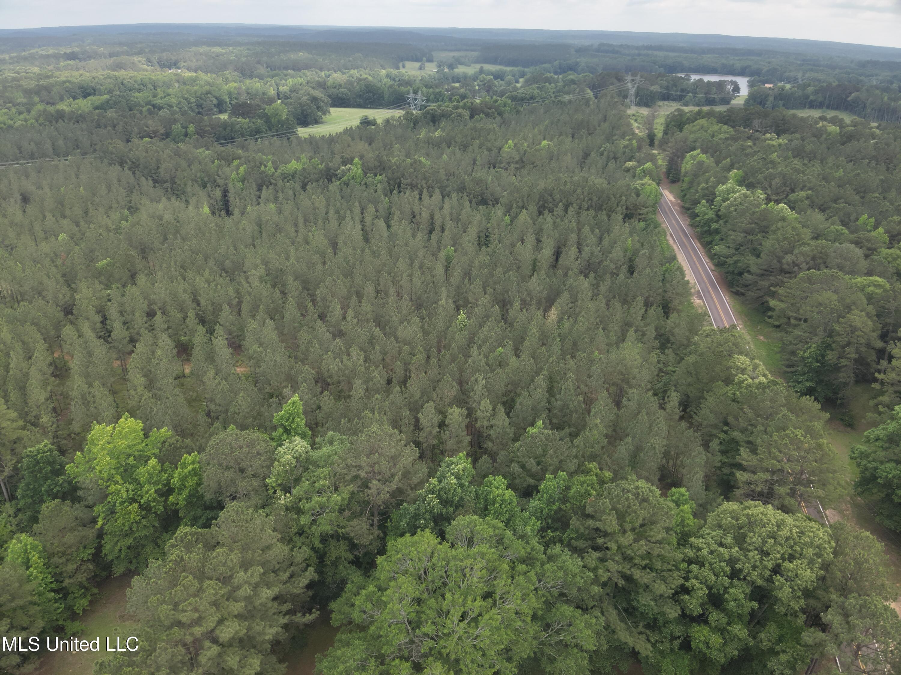 Hwy  429, Sallis, Mississippi image 6