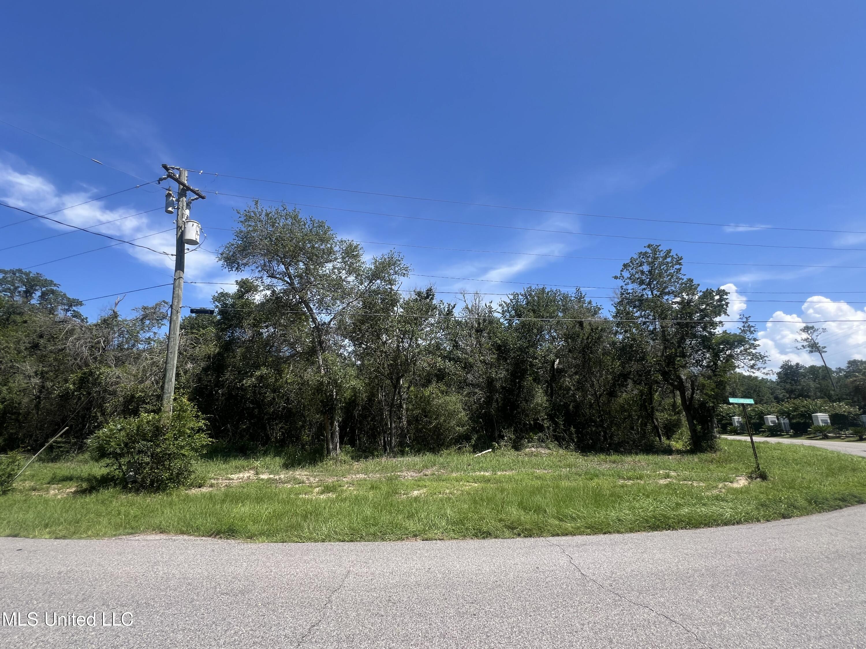 Main Street, Ocean Springs, Mississippi image 7