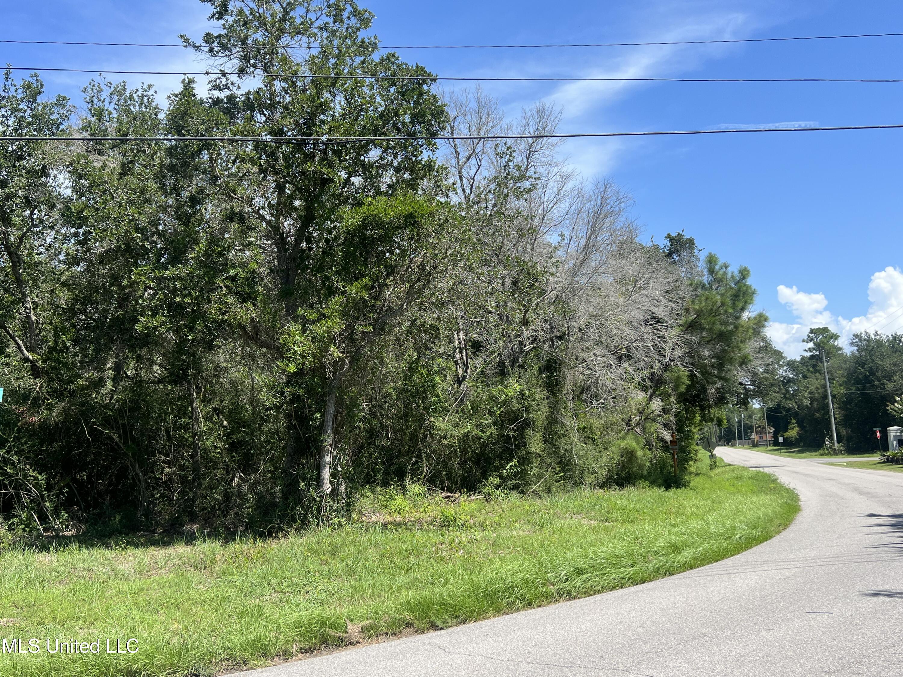 Main Street, Ocean Springs, Mississippi image 6