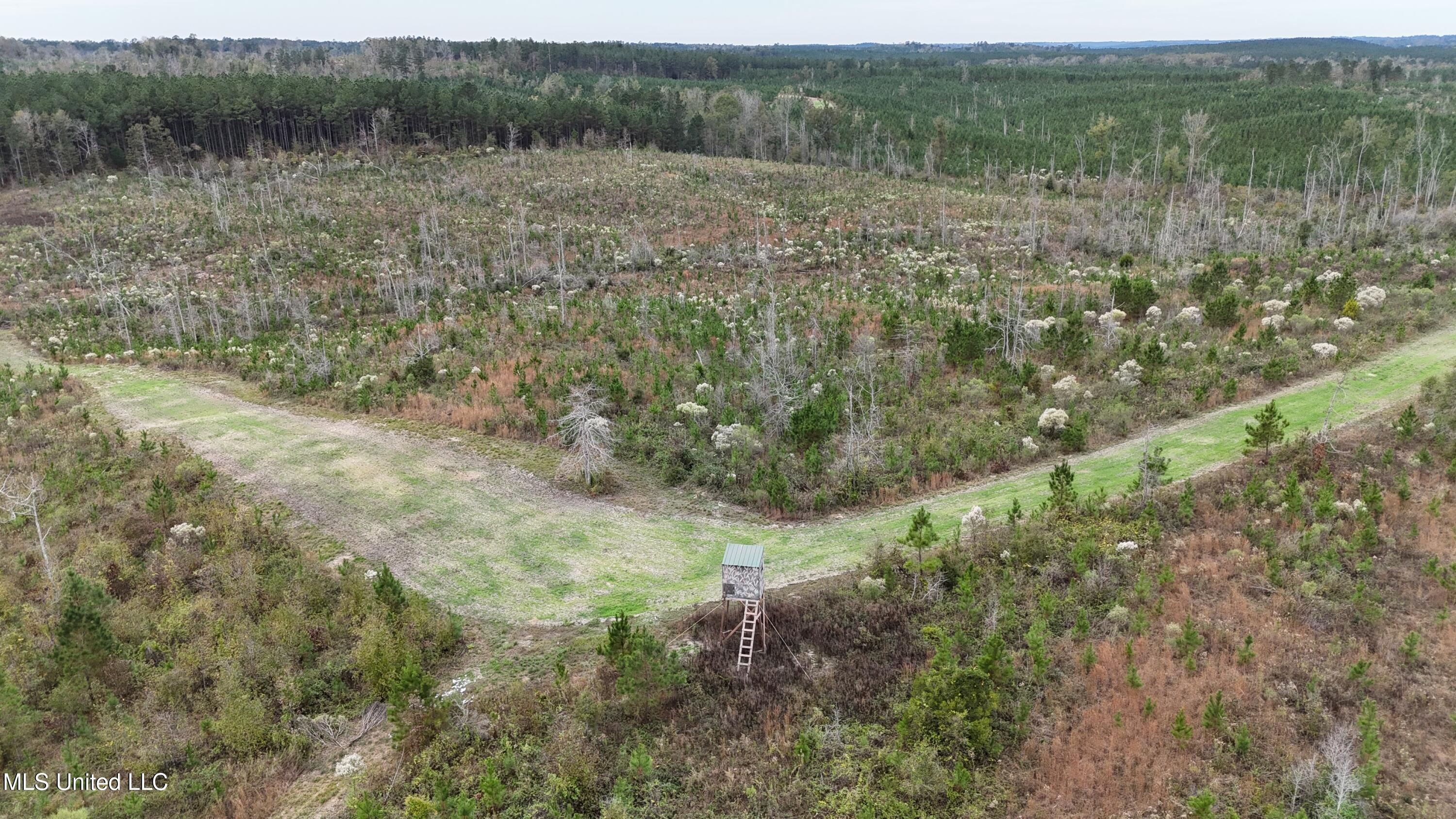 Skinner Place Road Road, Union, Mississippi image 3