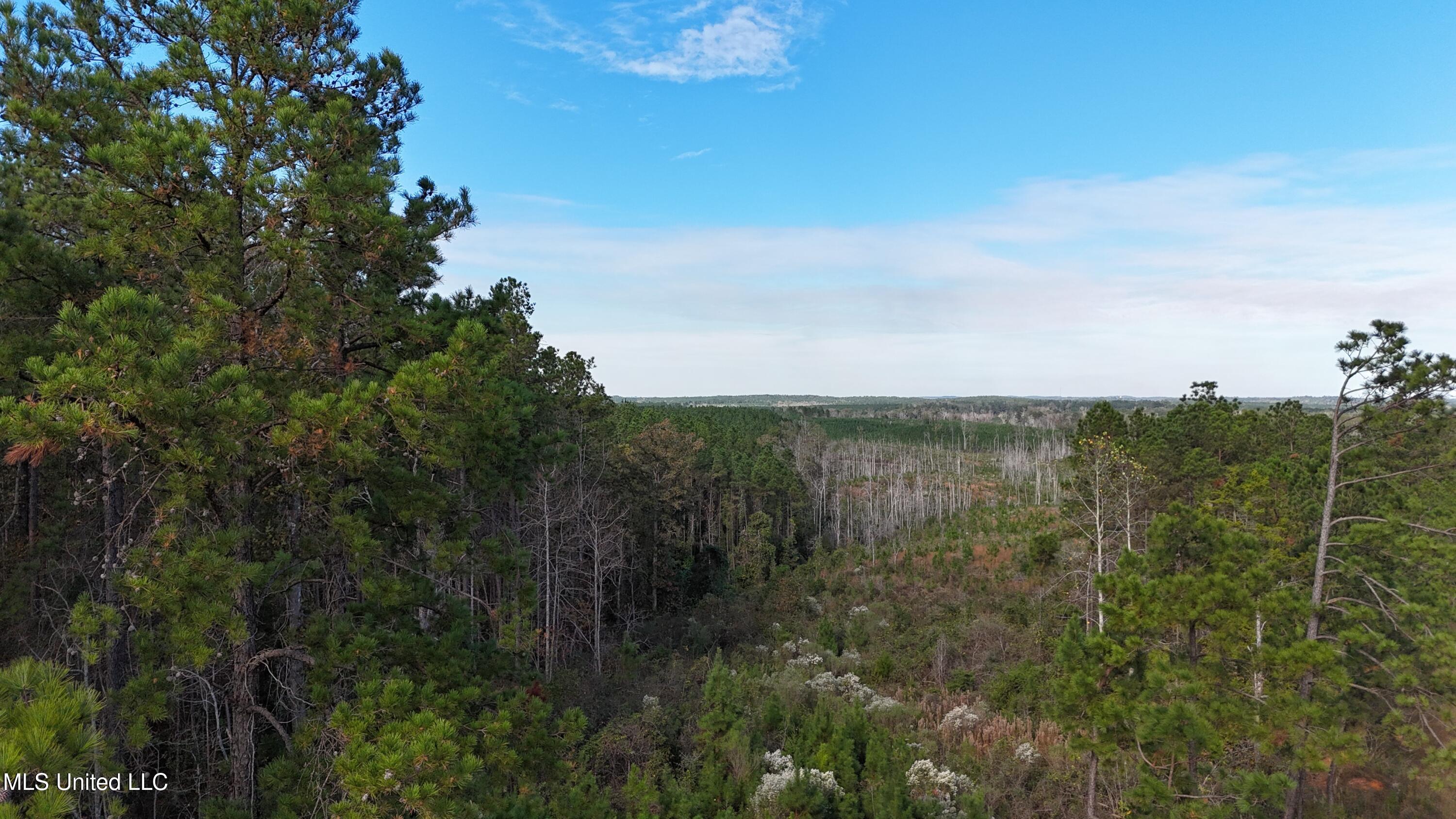 Skinner Place Road Road, Union, Mississippi image 41