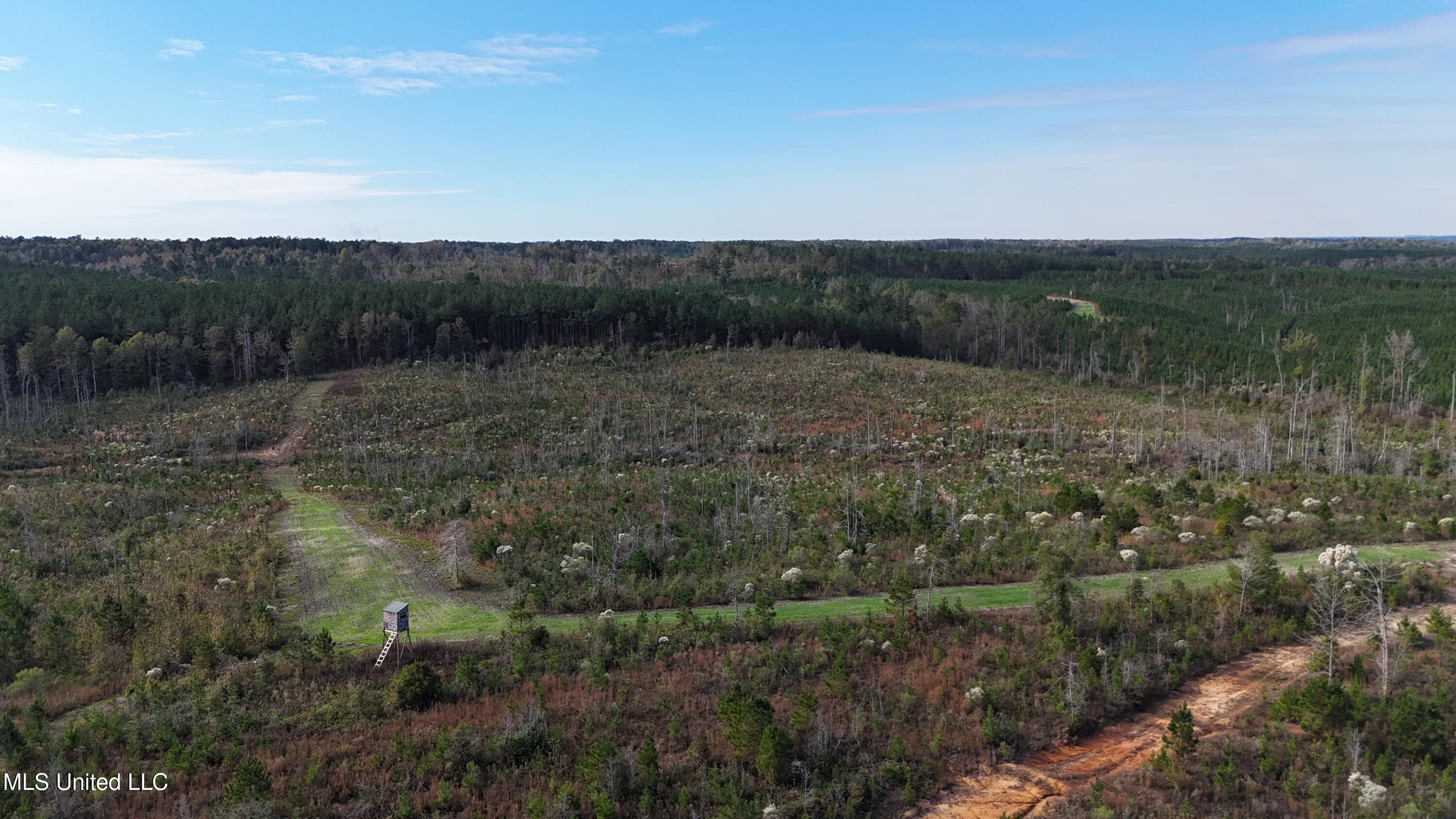 Skinner Place Road Road, Union, Mississippi image 36