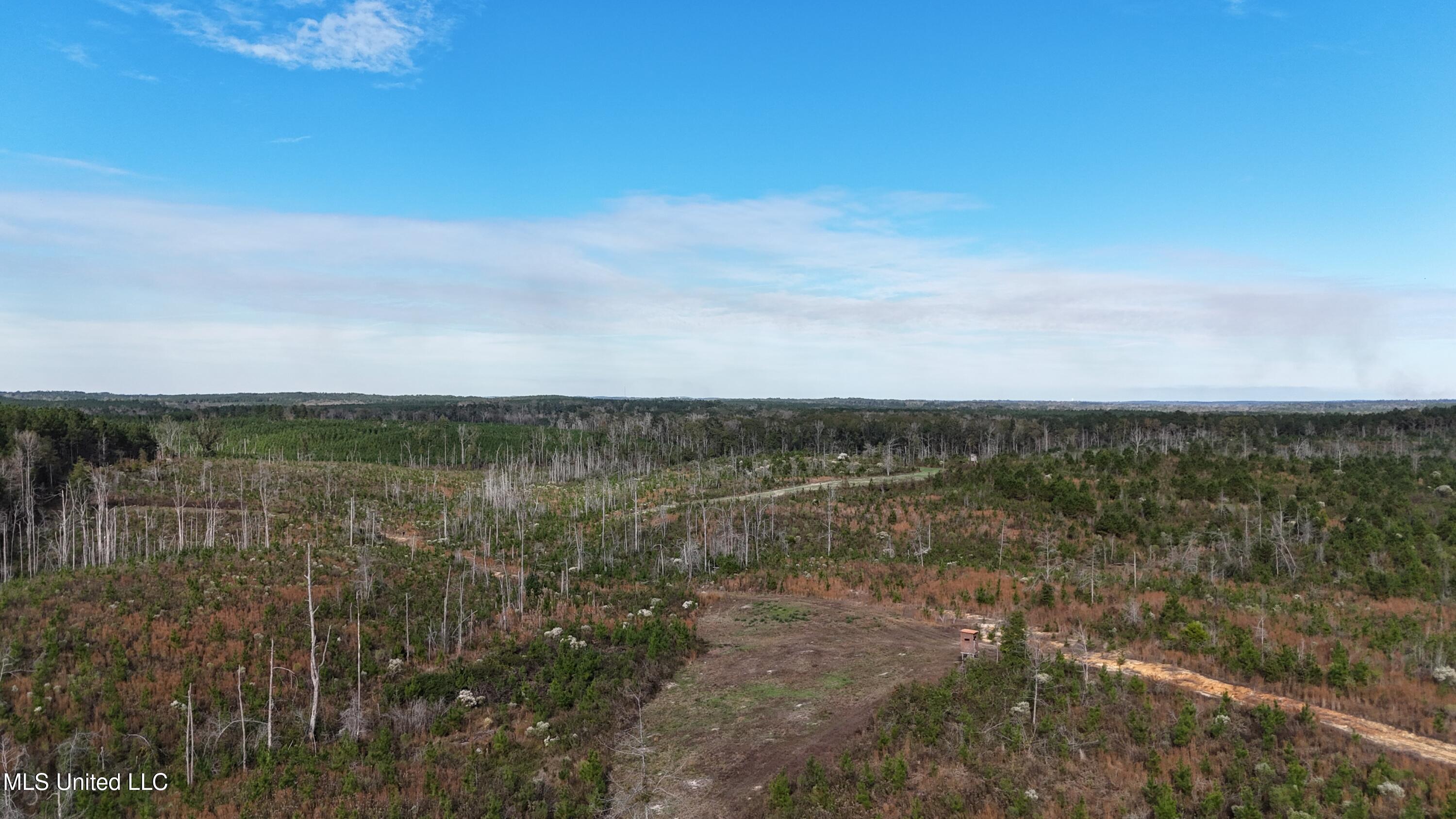 Skinner Place Road Road, Union, Mississippi image 39