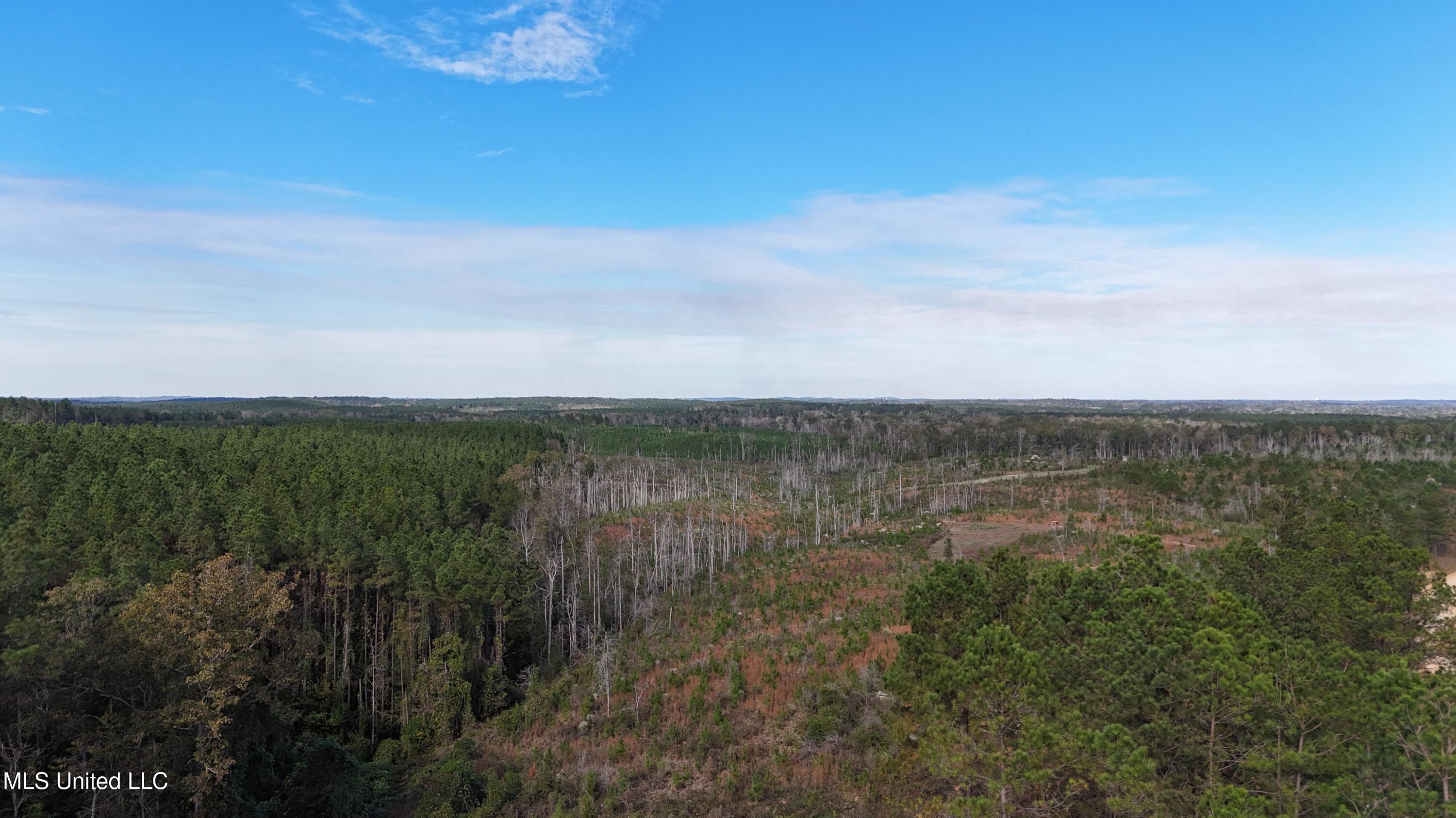 Skinner Place Road Road, Union, Mississippi image 40