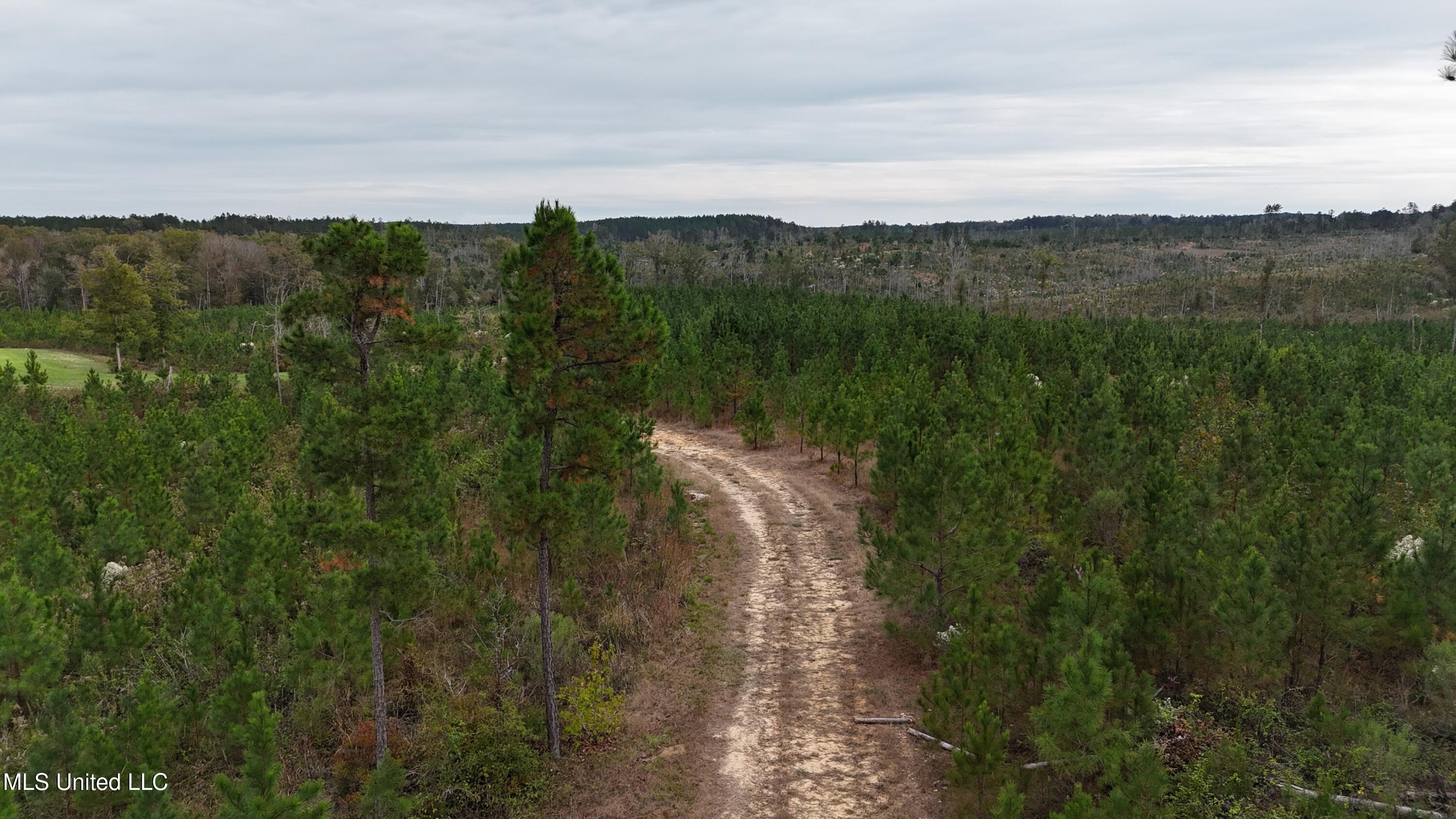 Skinner Place Road Road, Union, Mississippi image 11