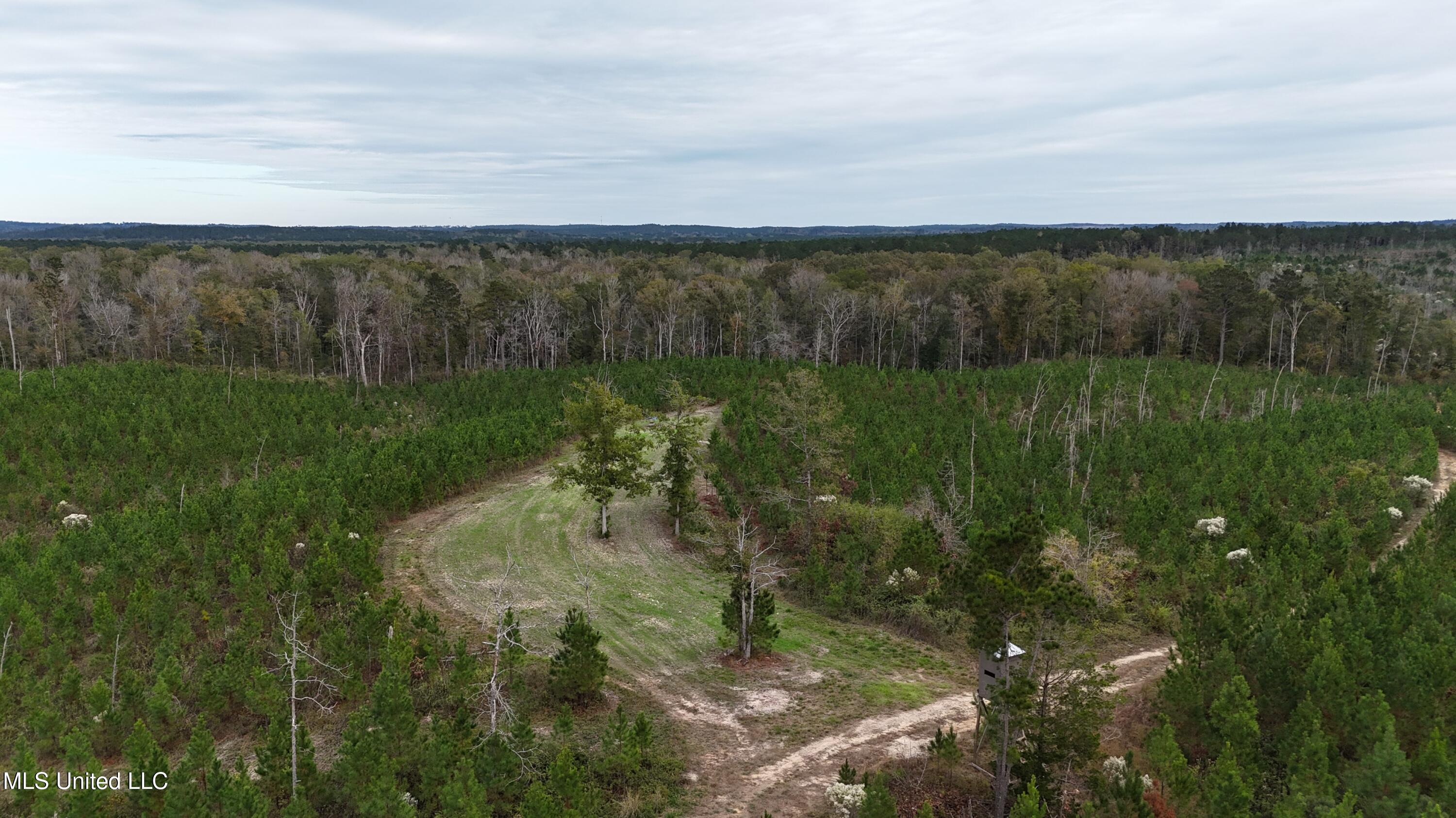 Skinner Place Road Road, Union, Mississippi image 9