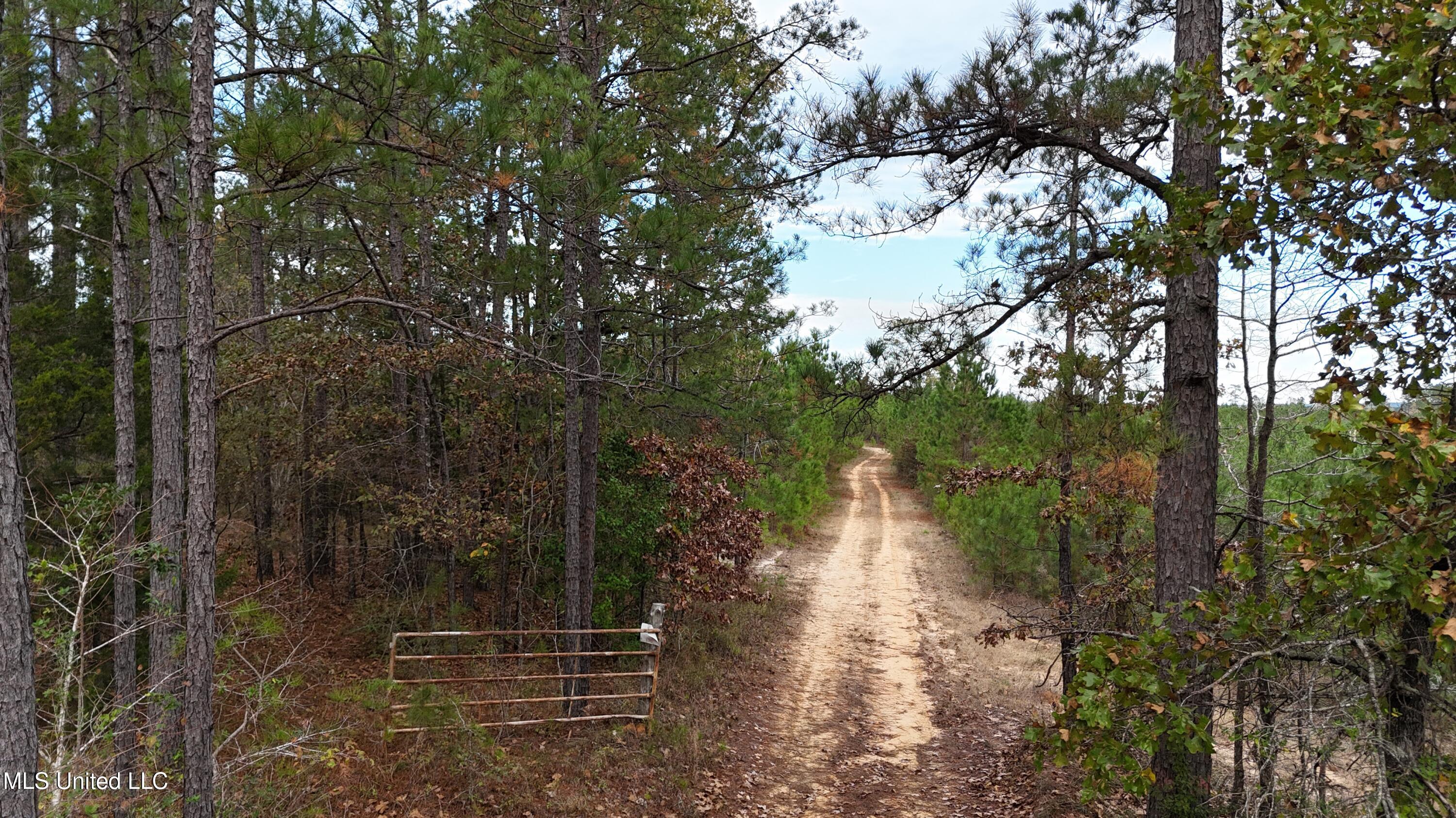 Skinner Place Road Road, Union, Mississippi image 19