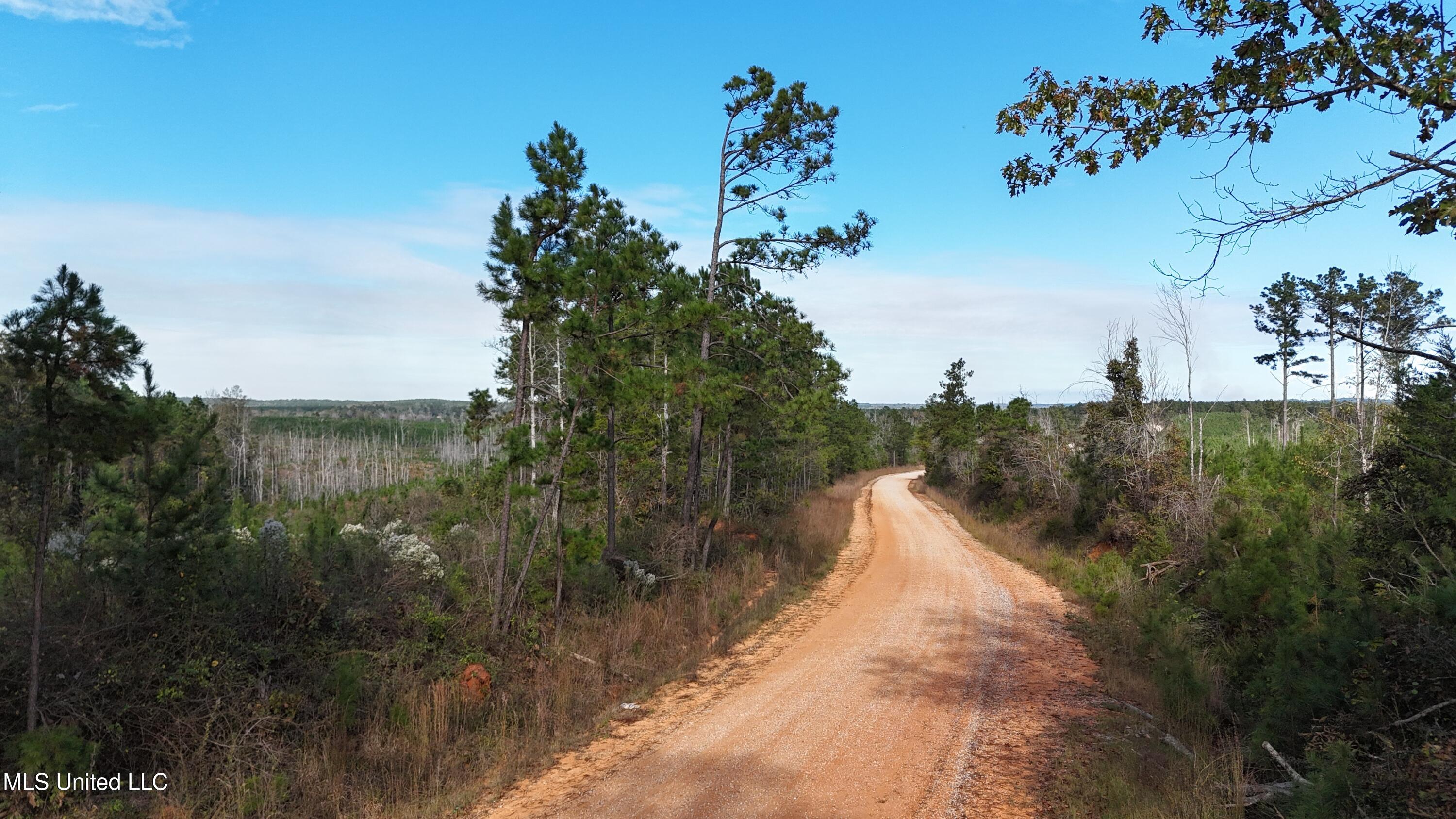 Skinner Place Road Road, Union, Mississippi image 43