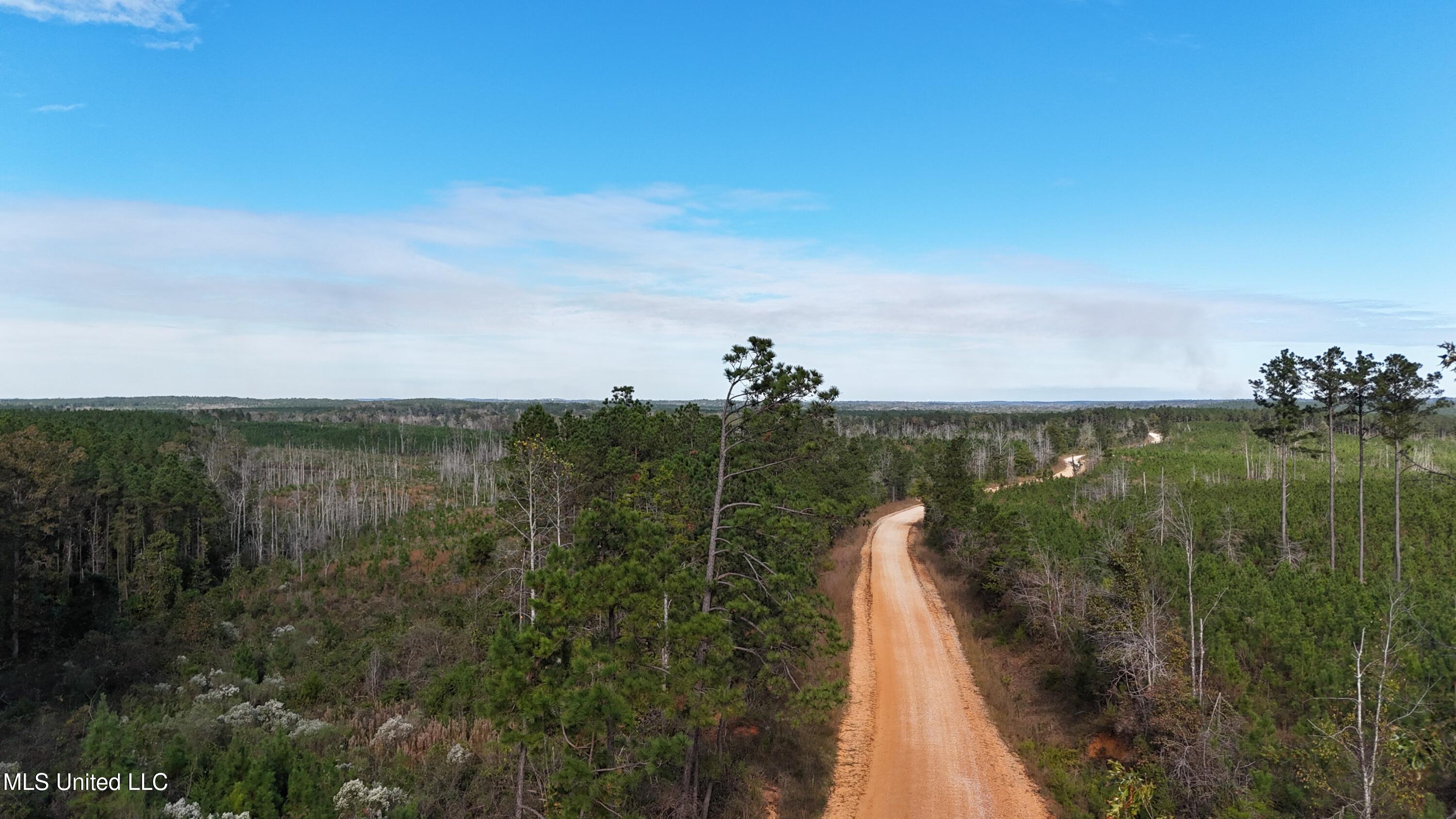 Skinner Place Road Road, Union, Mississippi image 42