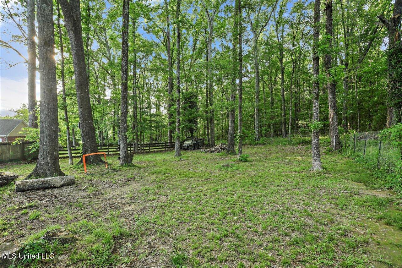 103 Lofty Pine Lane, Clinton, Mississippi image 26