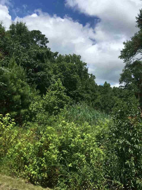 Vacant Land For Sale - Mulberry Street<br/> Vaiden, MS 39176