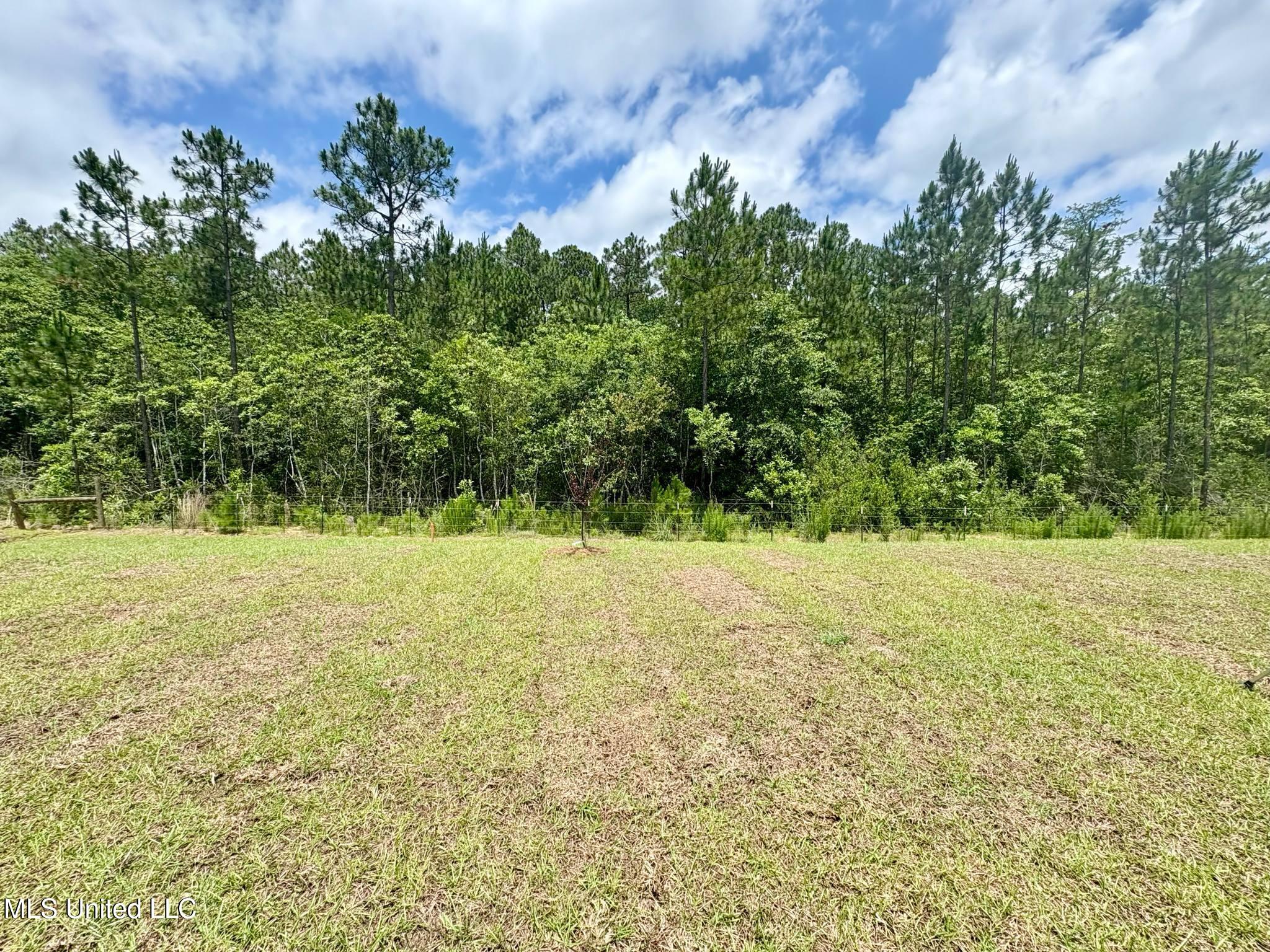 18042 Tiffany Renee Drive, Gulfport, Mississippi image 25