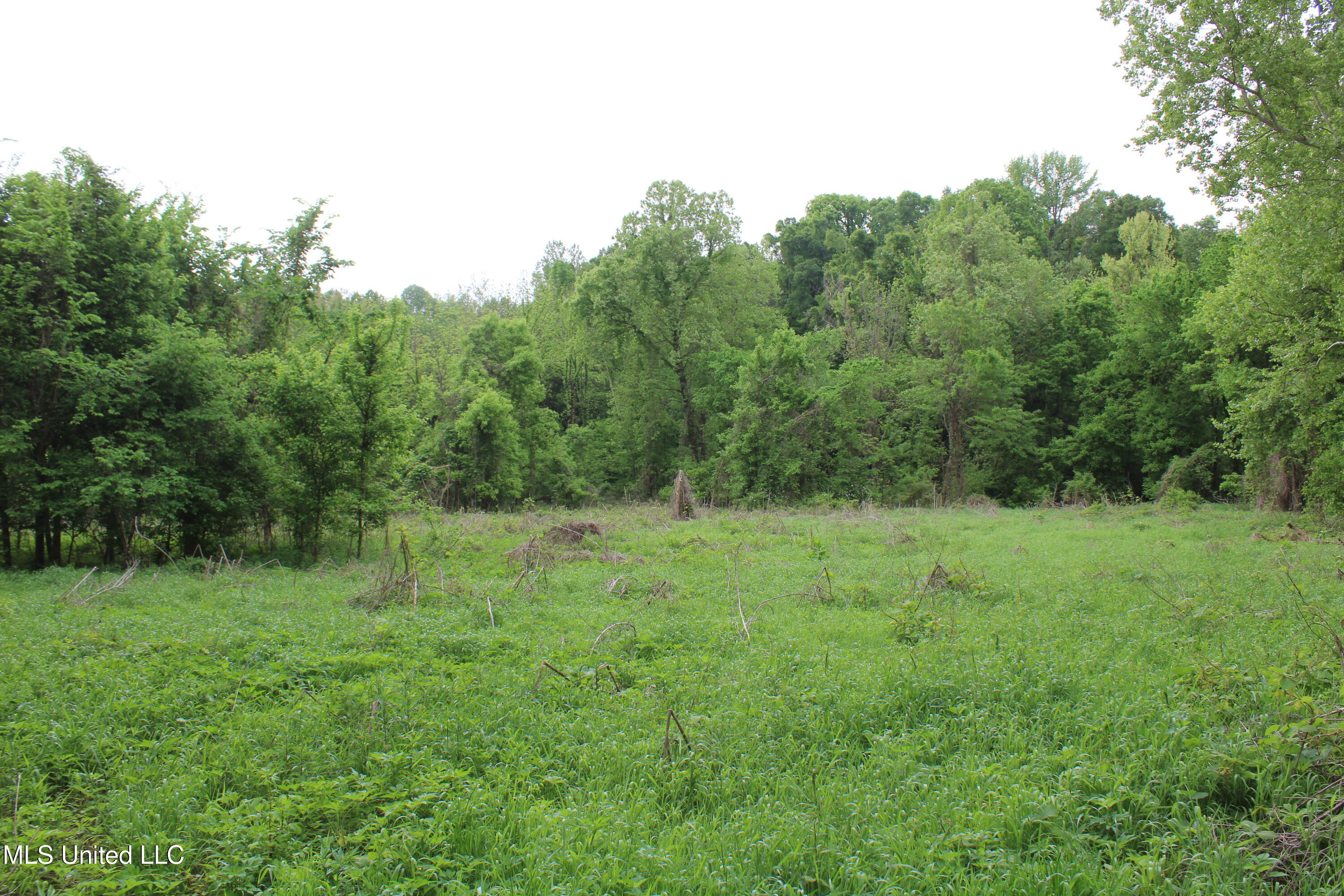 8311 Highway 302 Road, Walls, Mississippi image 27