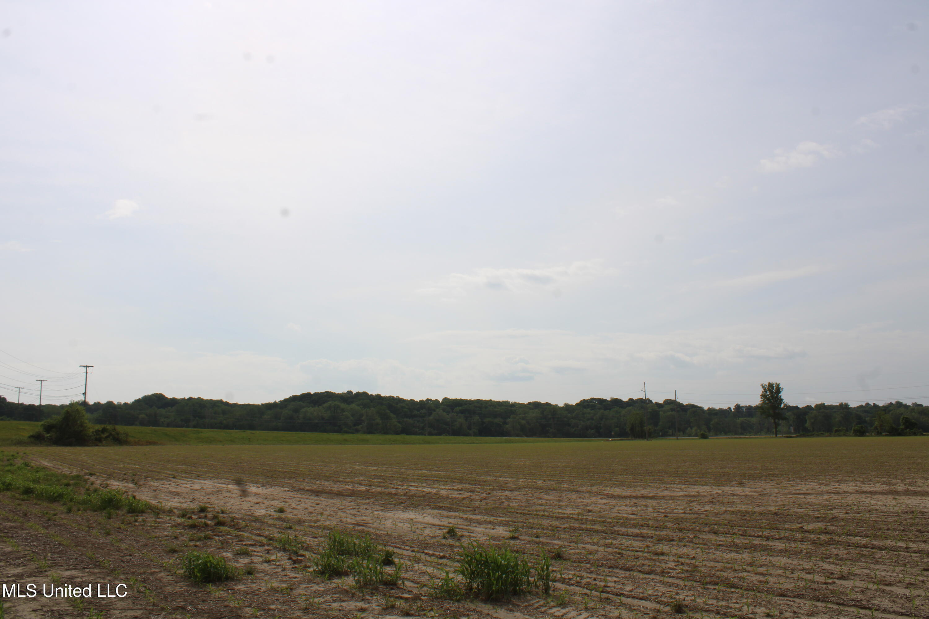 8311 Highway 302 Road, Walls, Mississippi image 38