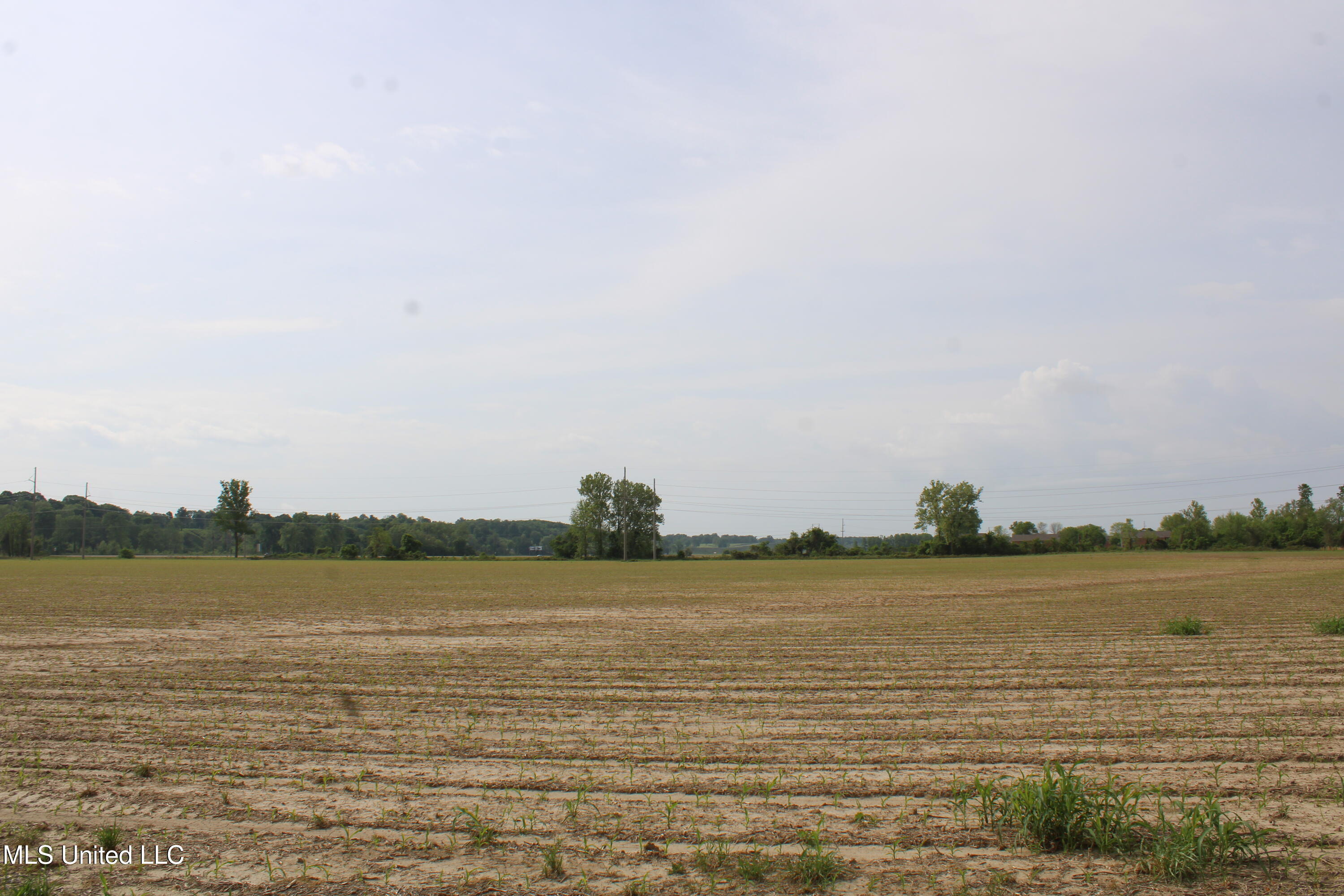 8311 Highway 302 Road, Walls, Mississippi image 37