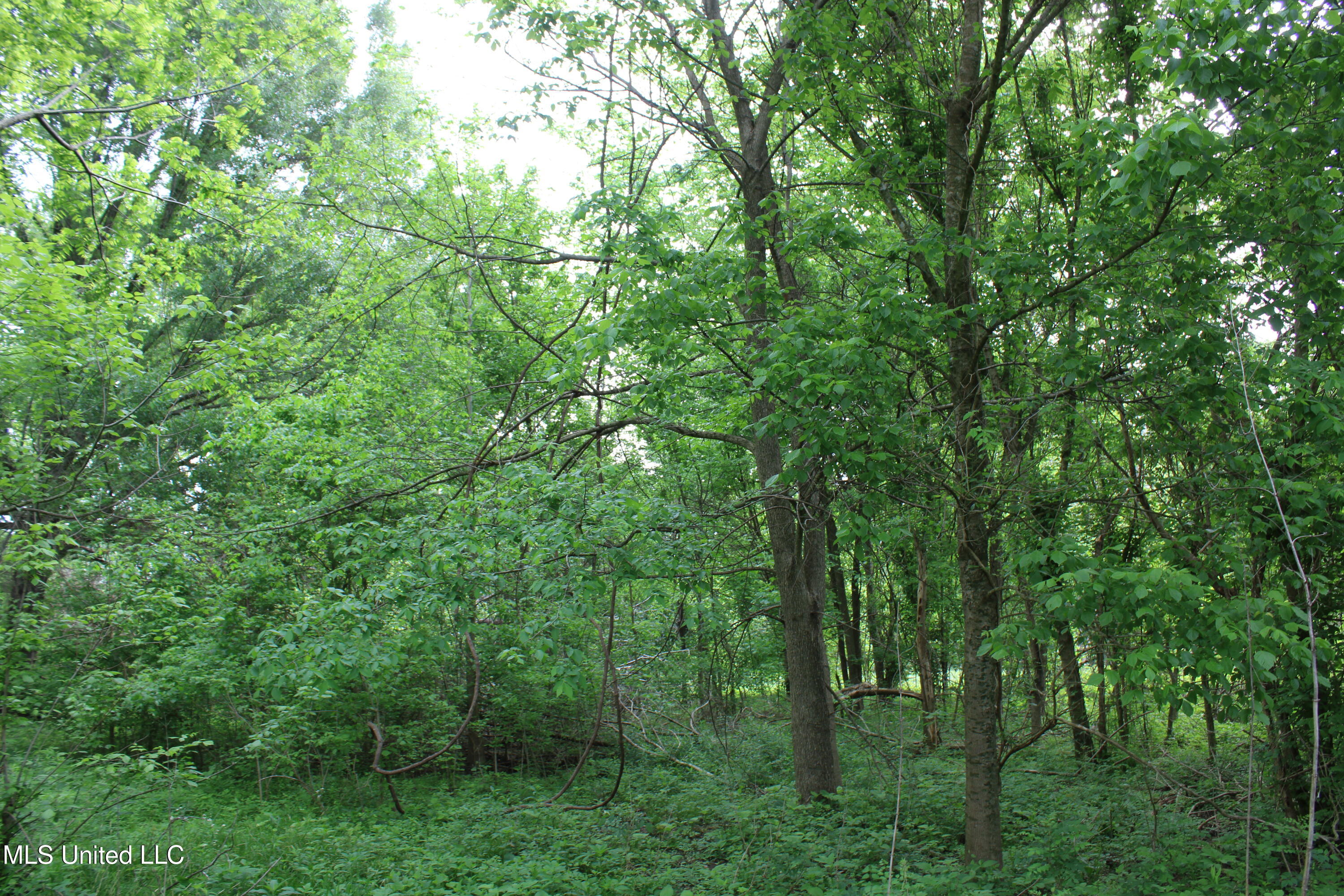 8311 Highway 302 Road, Walls, Mississippi image 28
