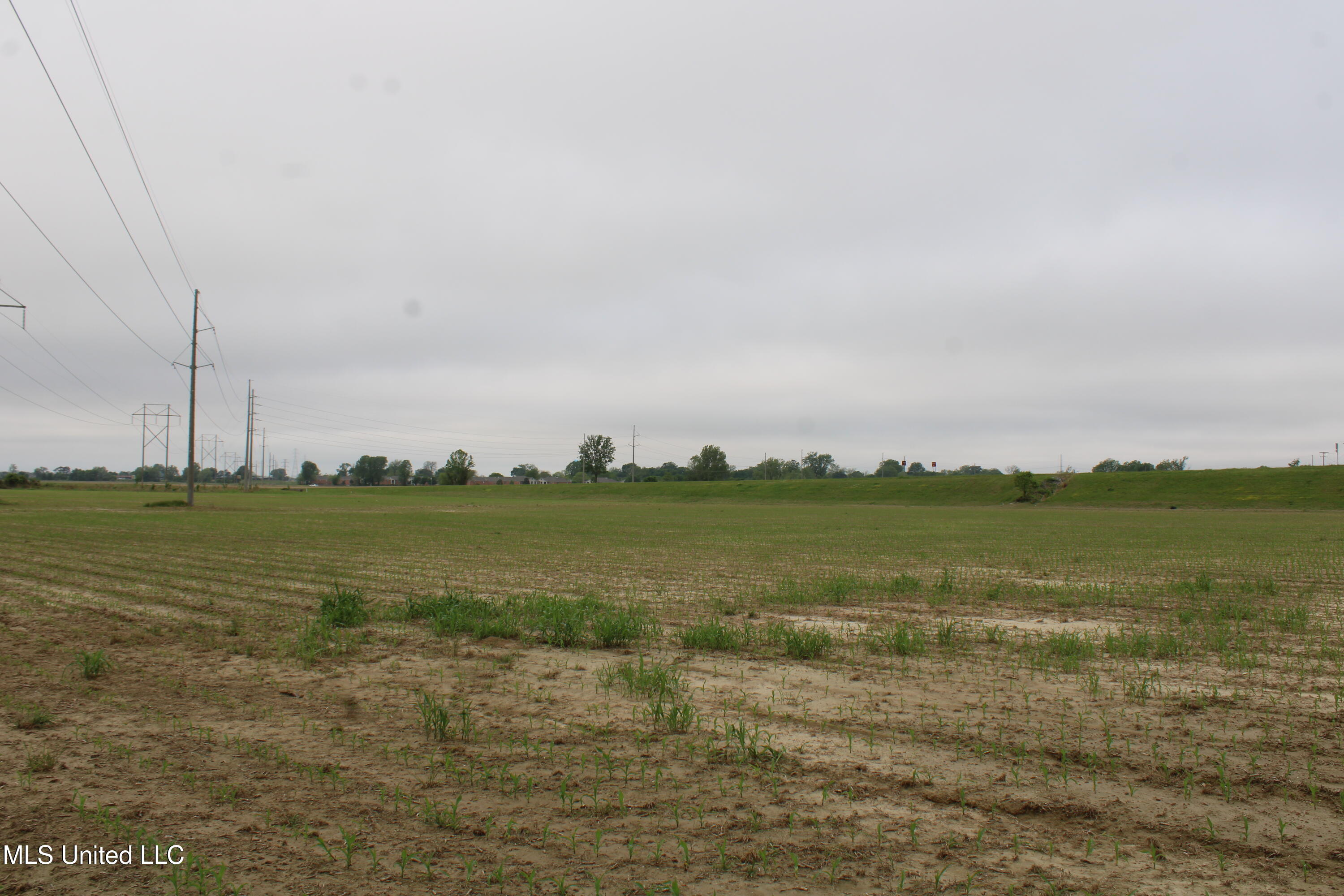 8311 Highway 302 Road, Walls, Mississippi image 16