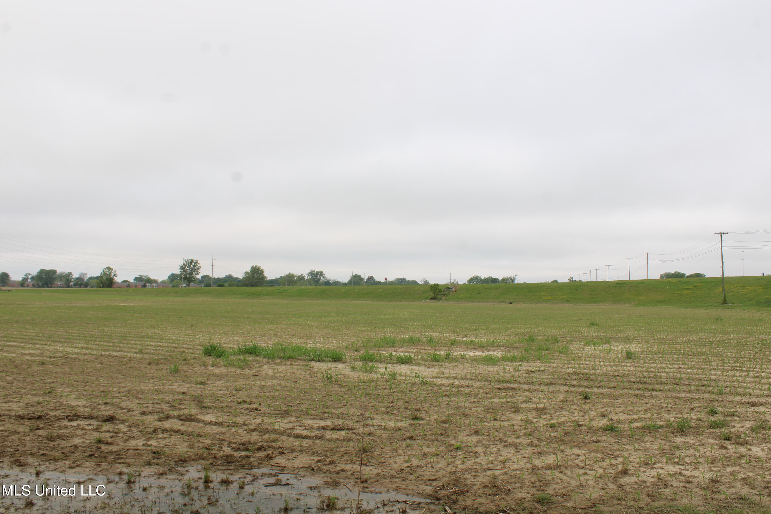 8311 Highway 302 Road, Walls, Mississippi image 14
