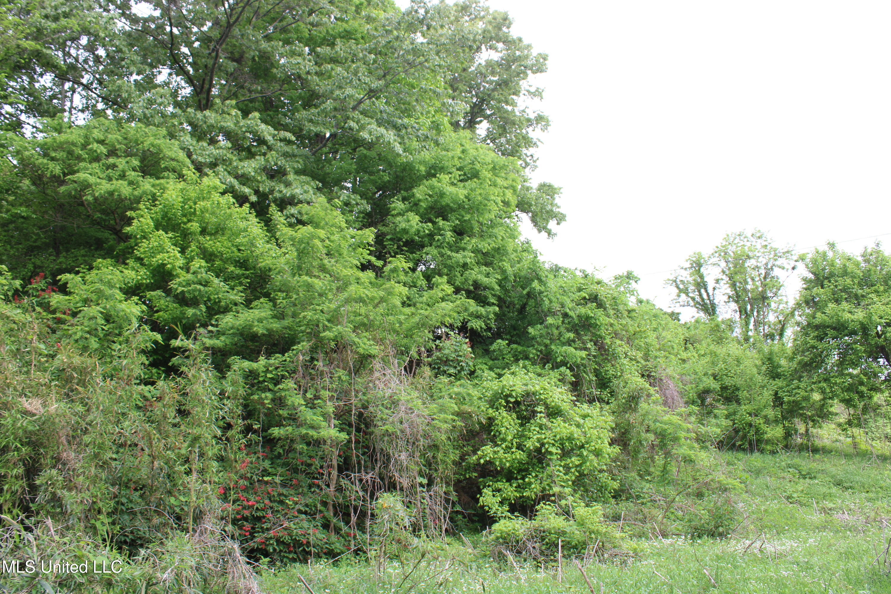 8311 Highway 302 Road, Walls, Mississippi image 26