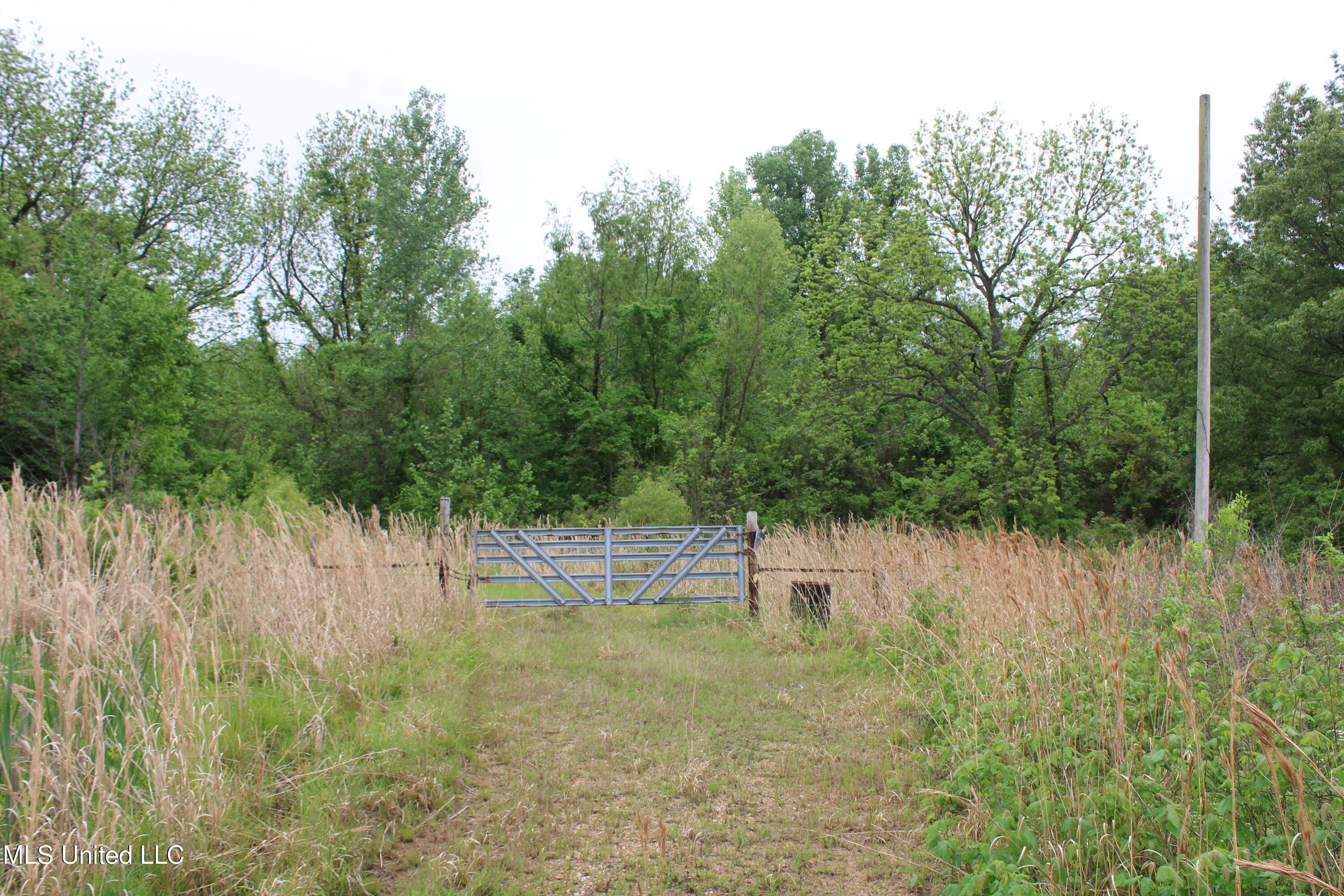 8311 Highway 302 Road, Walls, Mississippi image 17