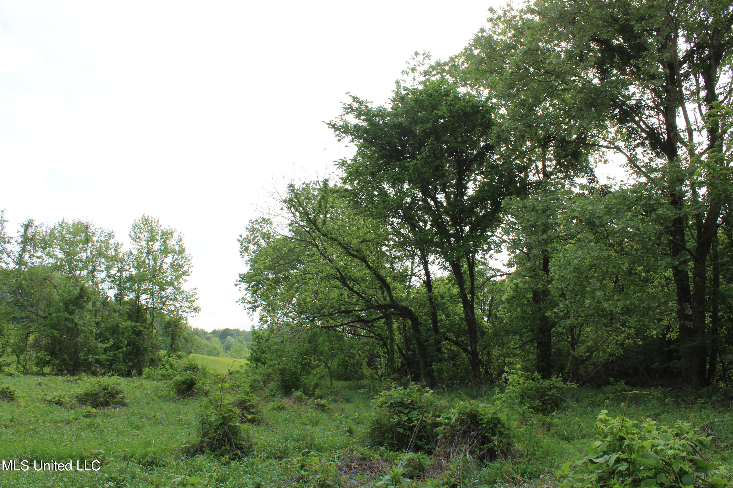 8311 Highway 302 Road, Walls, Mississippi image 31