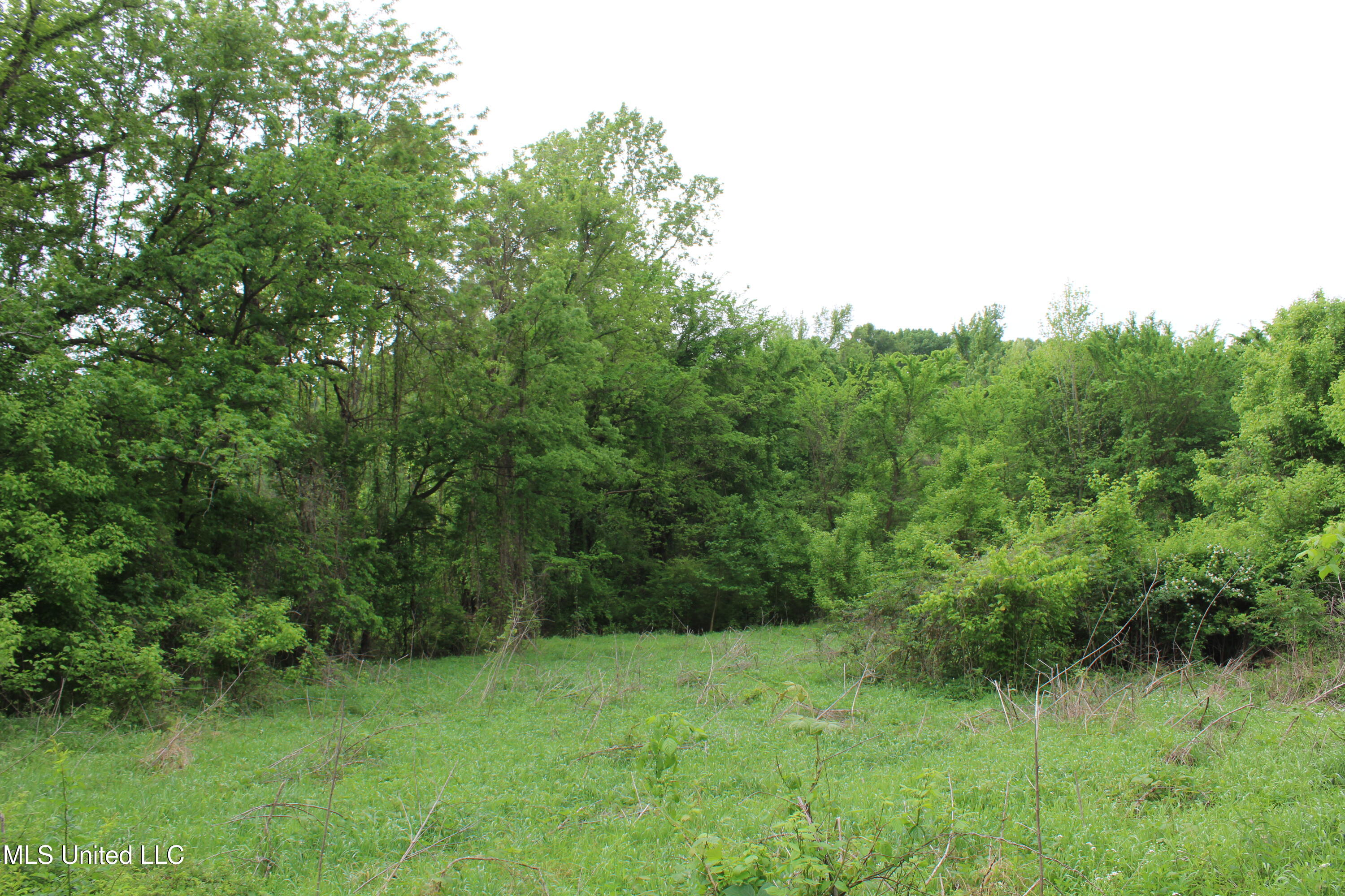 8311 Highway 302 Road, Walls, Mississippi image 24