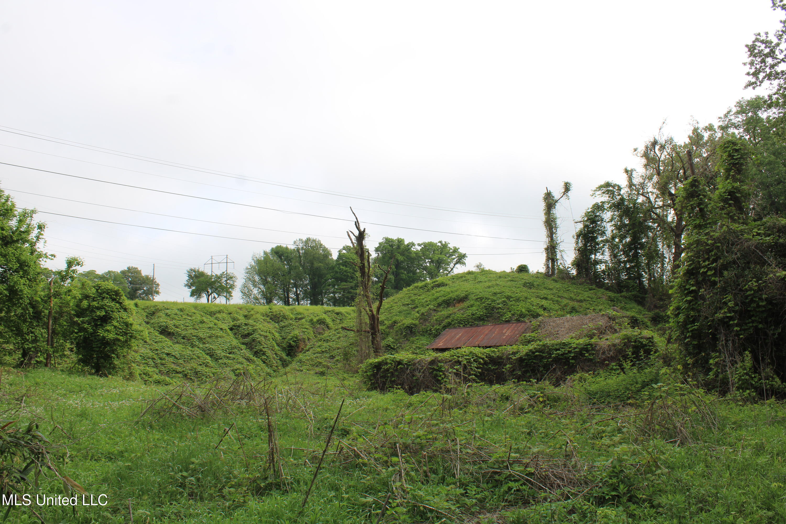 8311 Highway 302 Road, Walls, Mississippi image 25