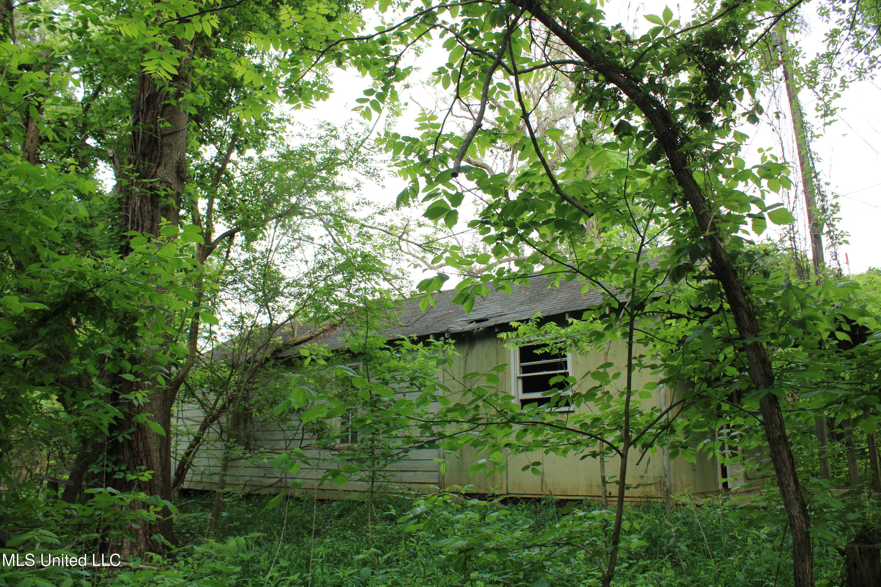 8311 Highway 302 Road, Walls, Mississippi image 29