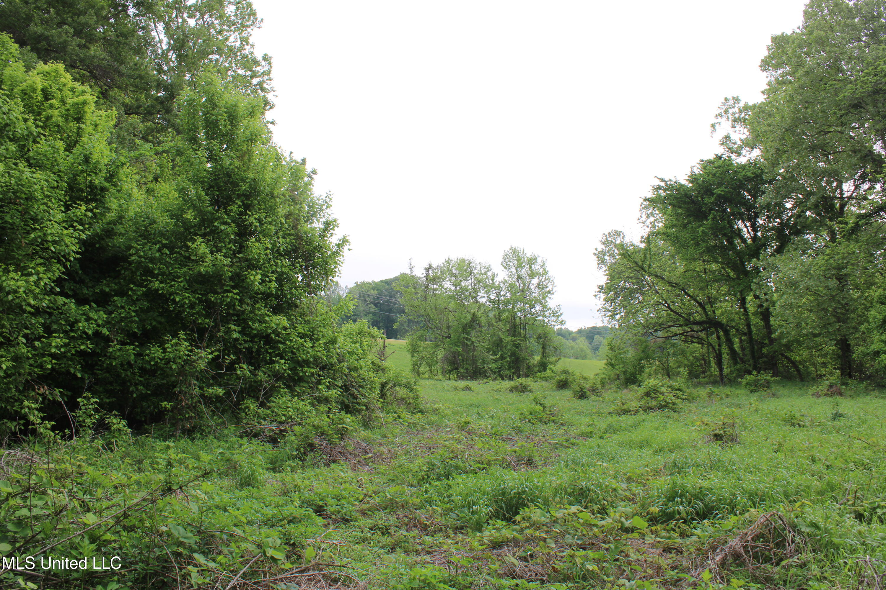 8311 Highway 302 Road, Walls, Mississippi image 30