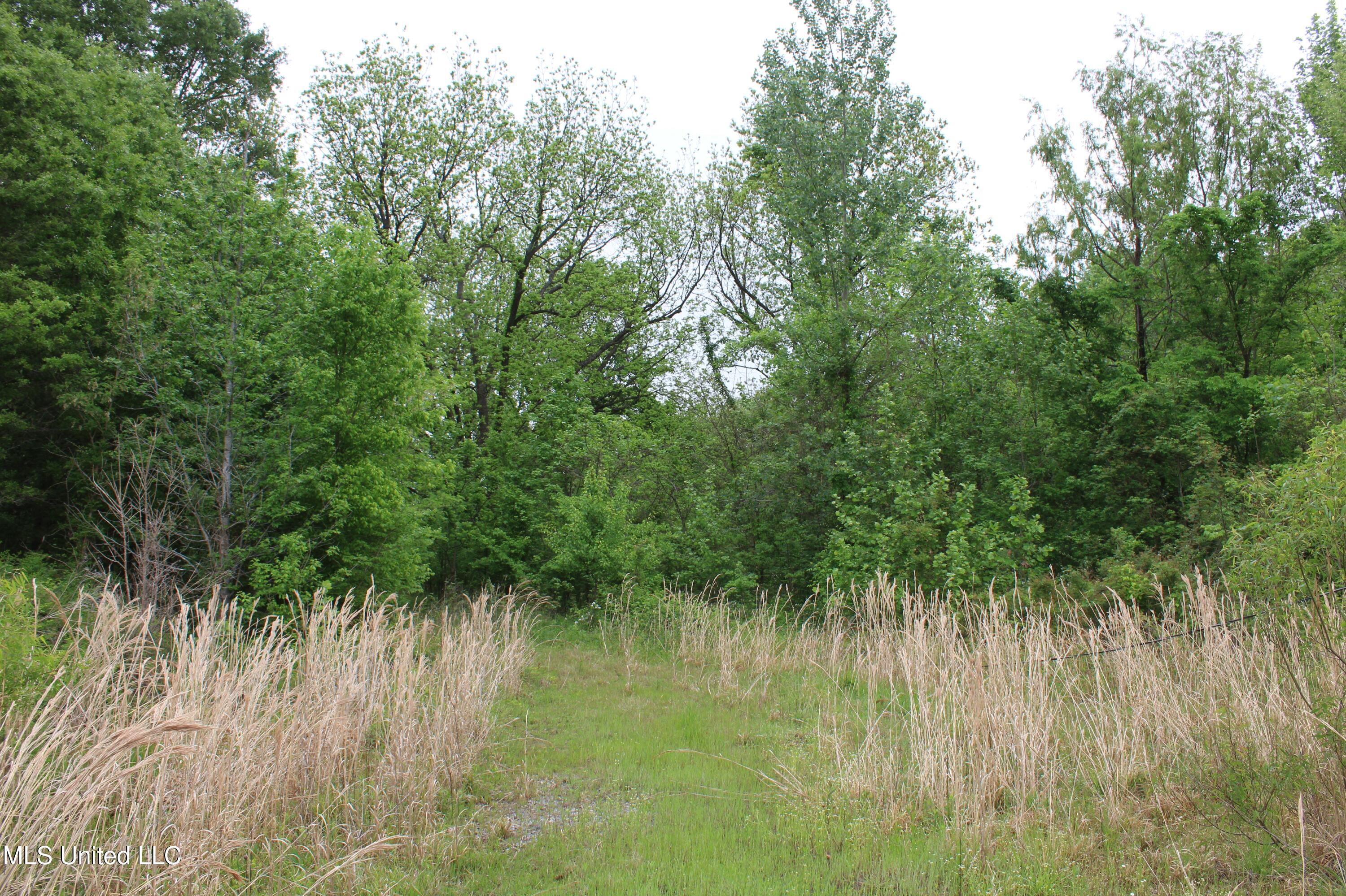 8311 Highway 302 Road, Walls, Mississippi image 47