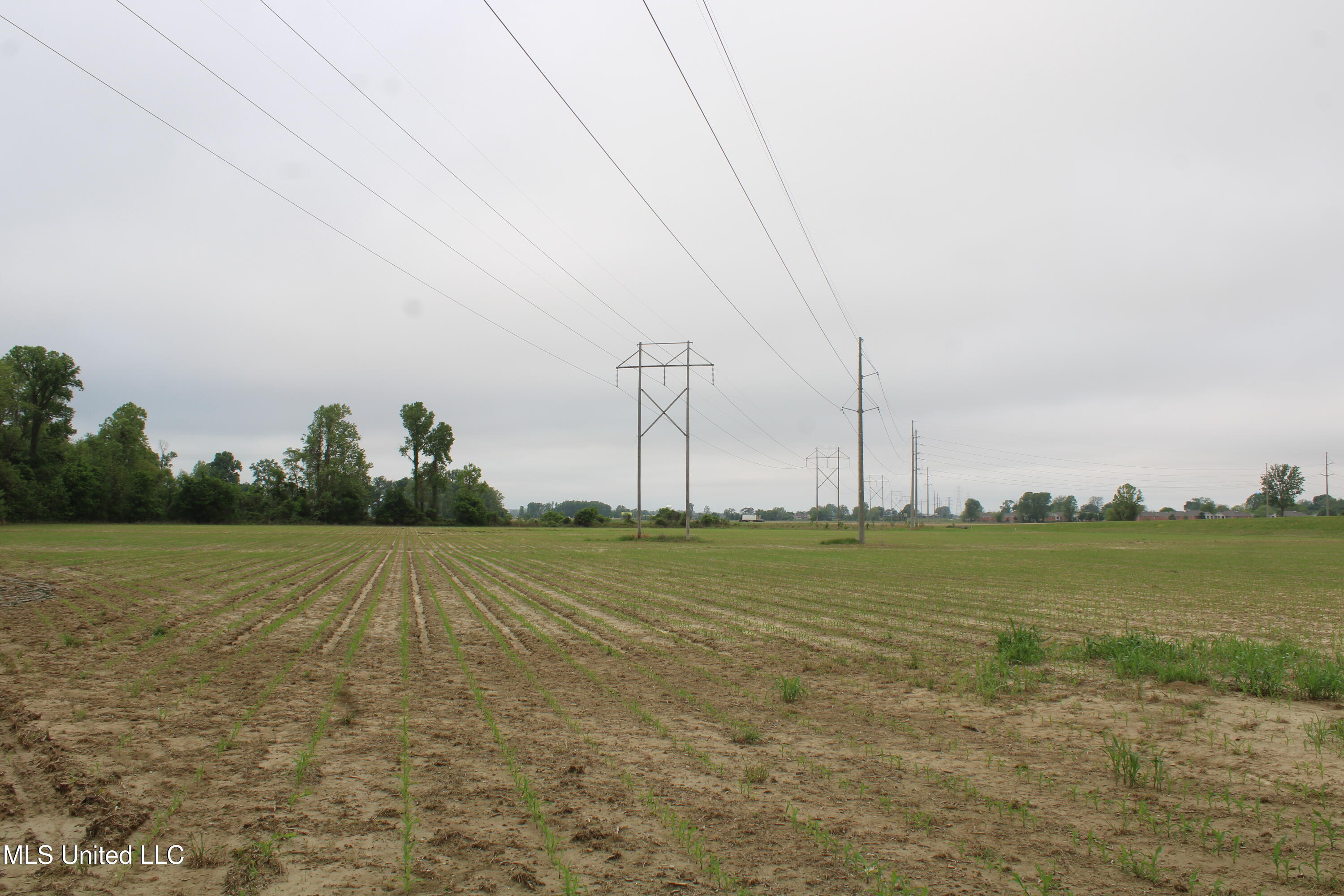 8311 Highway 302 Road, Walls, Mississippi image 15