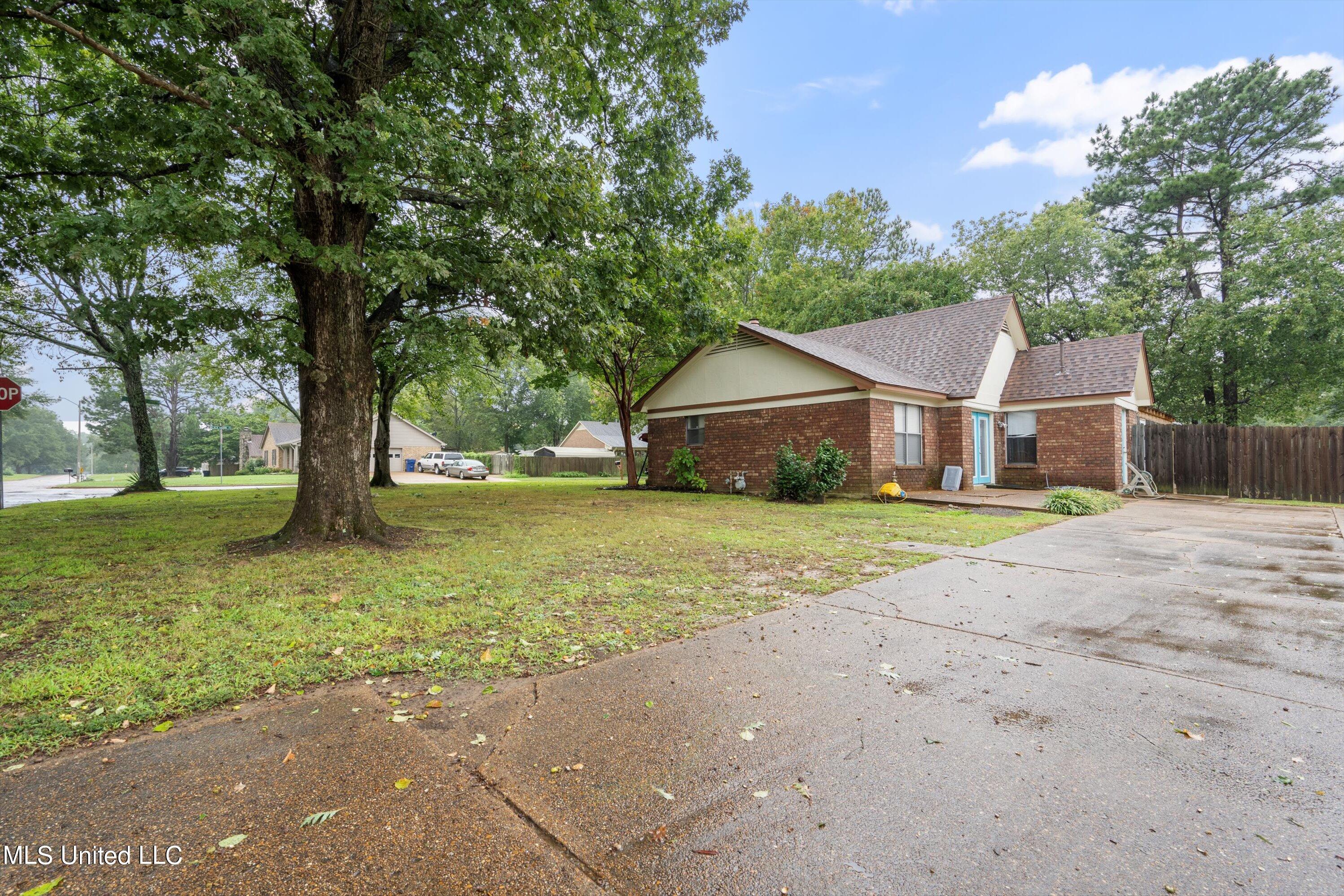 6880 Black Thorn Drive, Walls, Mississippi image 3