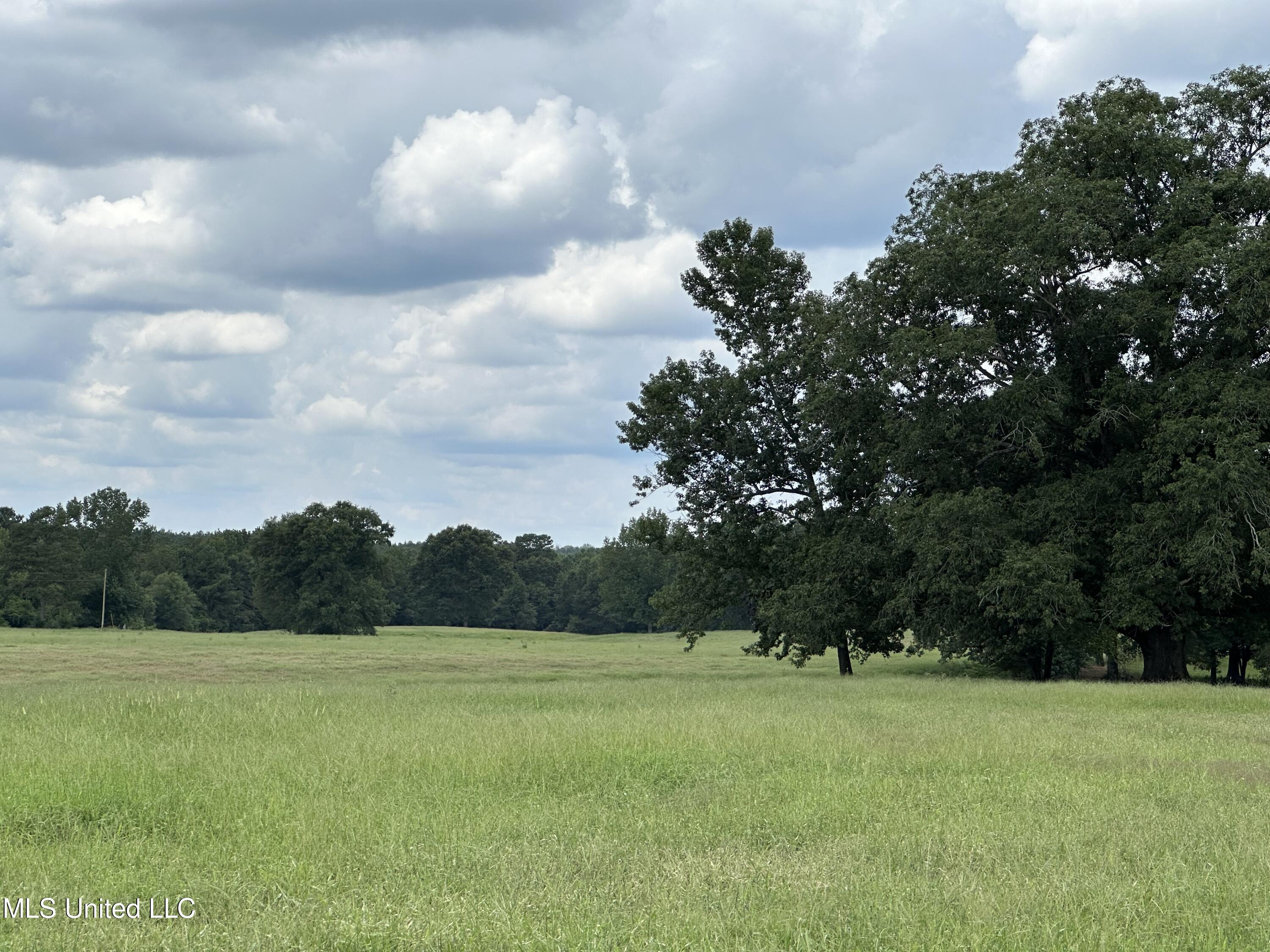 Hwy 532, Mount Olive, Mississippi image 26