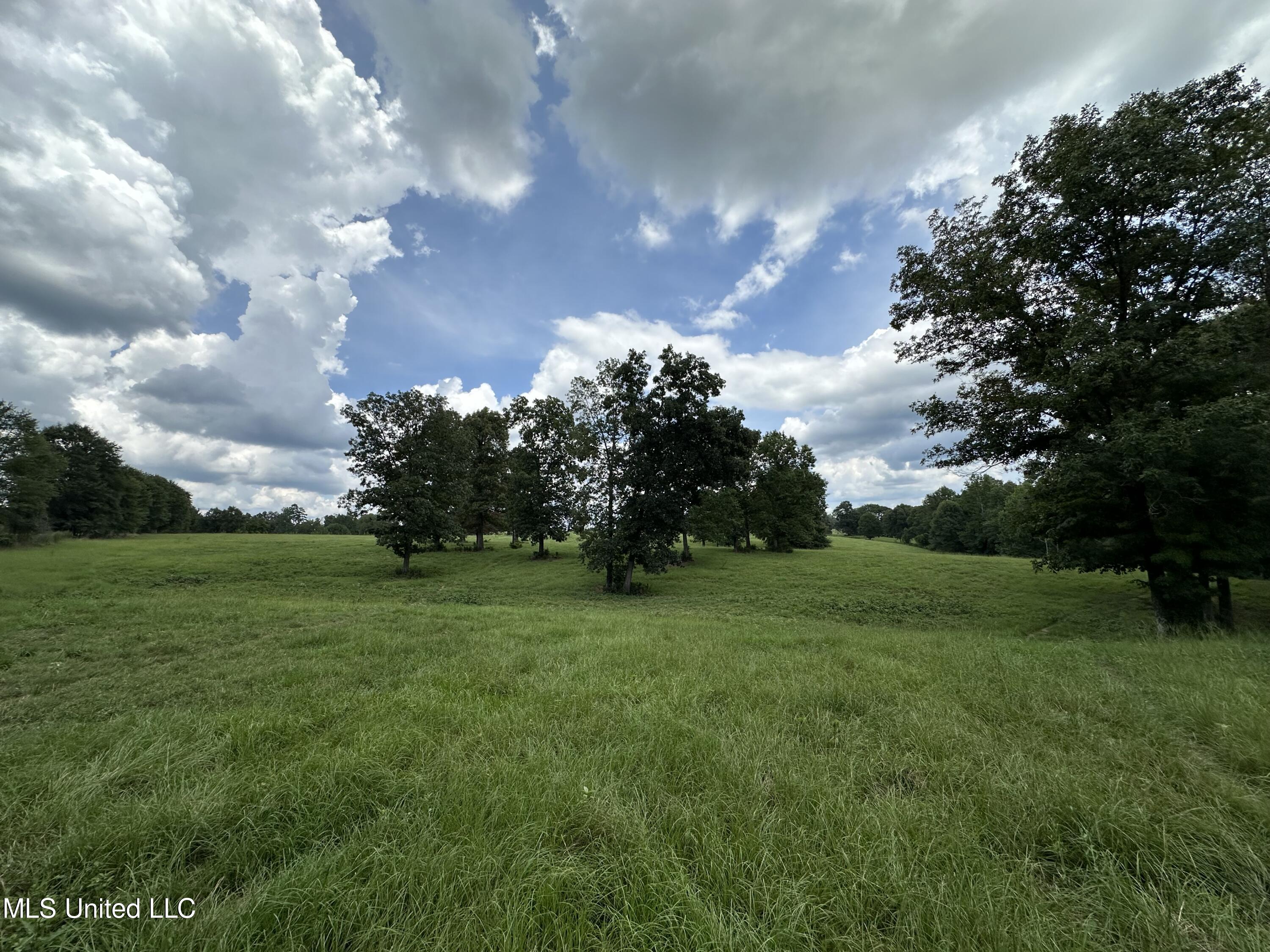 Hwy 532, Mount Olive, Mississippi image 6