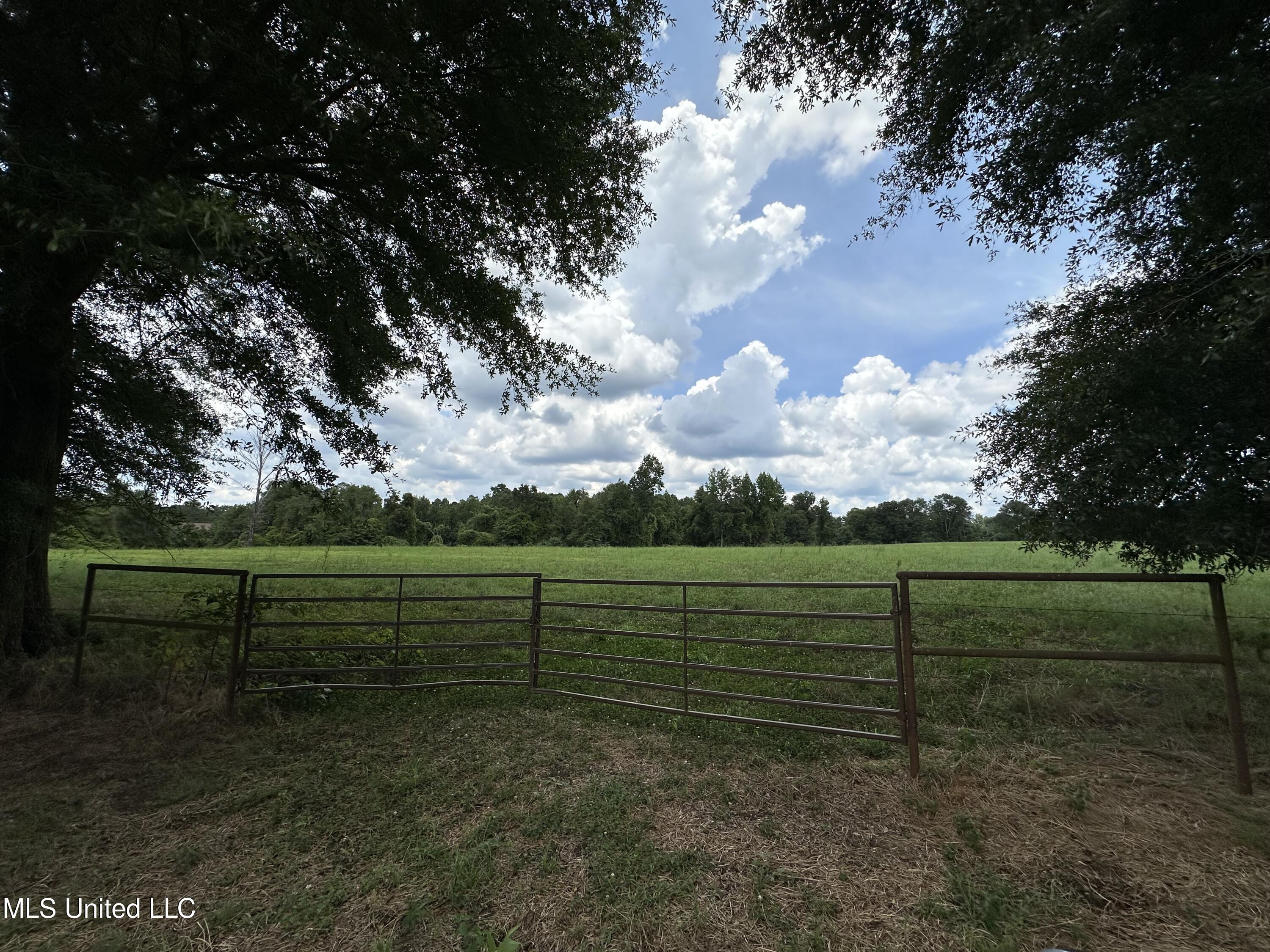 Hwy 532, Mount Olive, Mississippi image 8