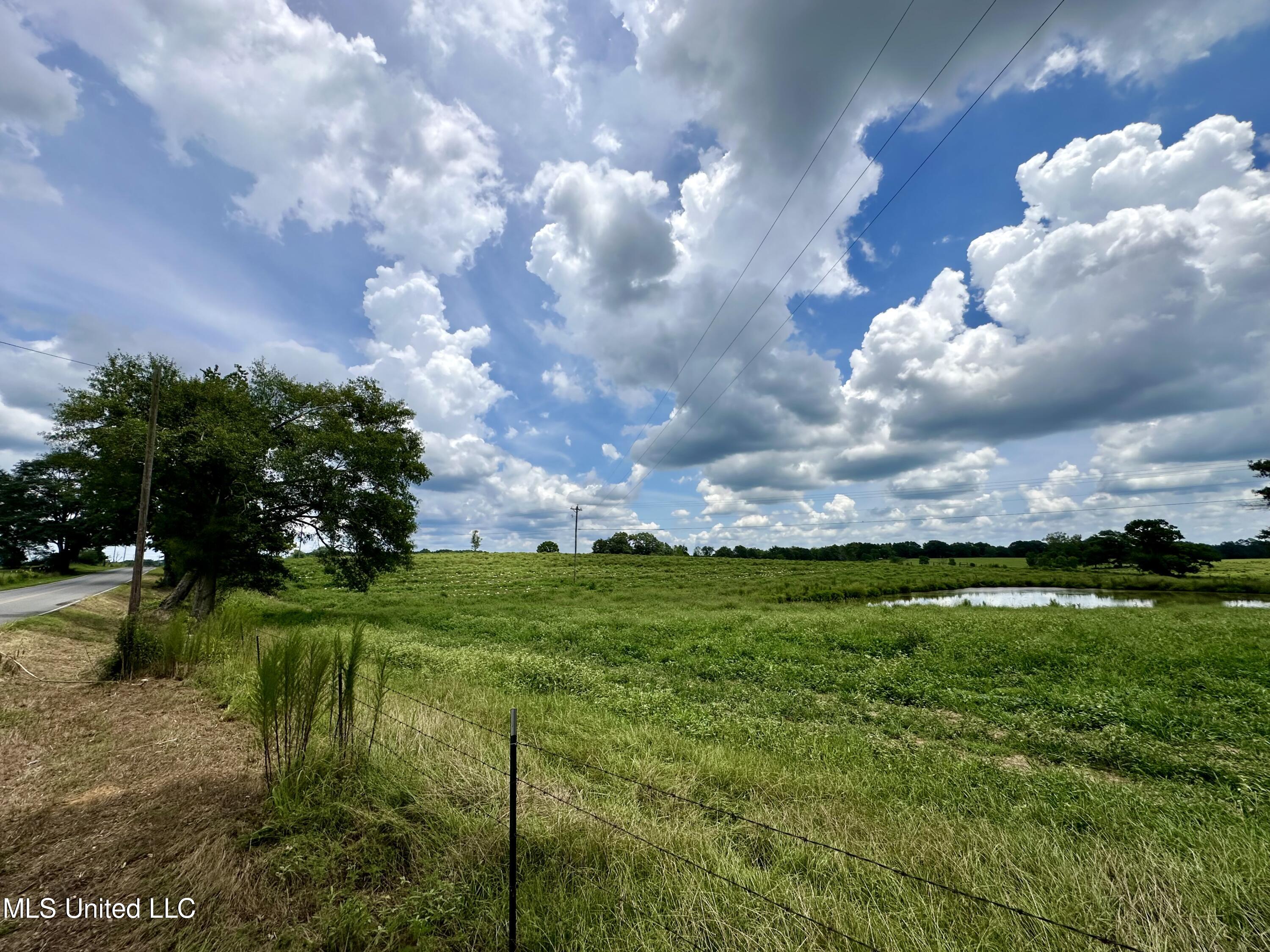 Hwy 532, Mount Olive, Mississippi image 32