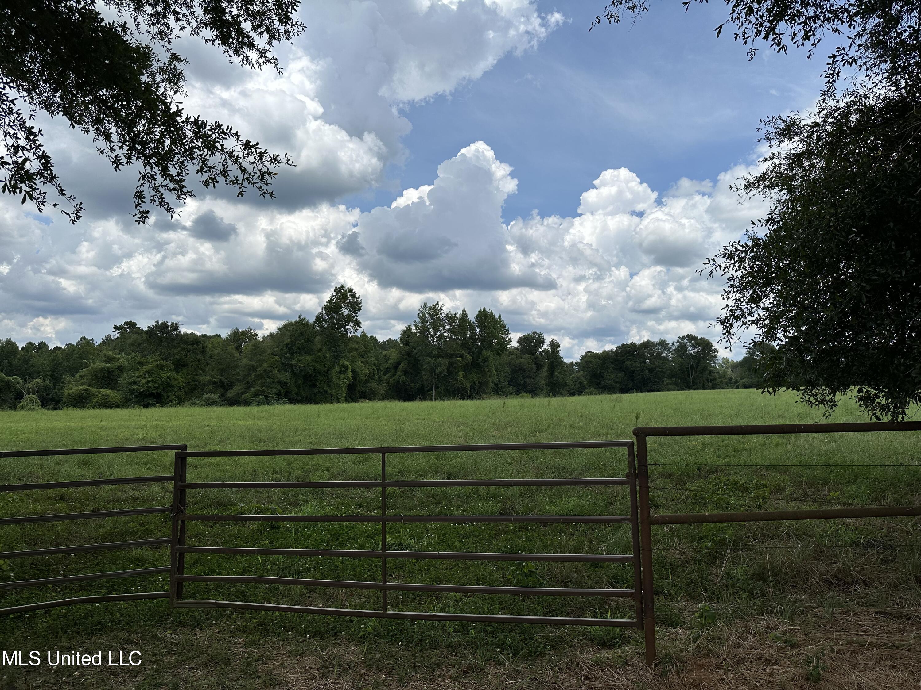 Hwy 532, Mount Olive, Mississippi image 7