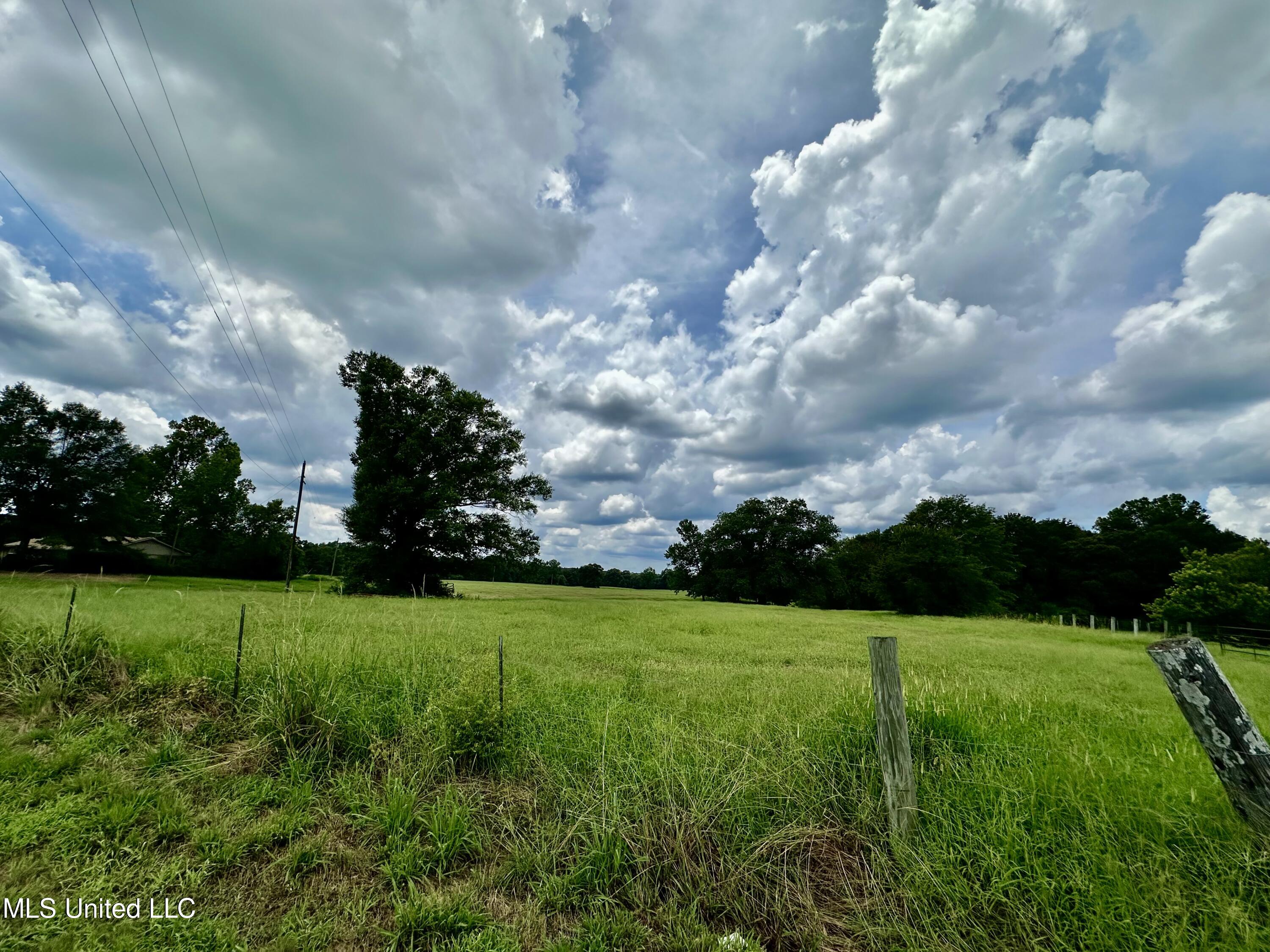 Hwy 532, Mount Olive, Mississippi image 28