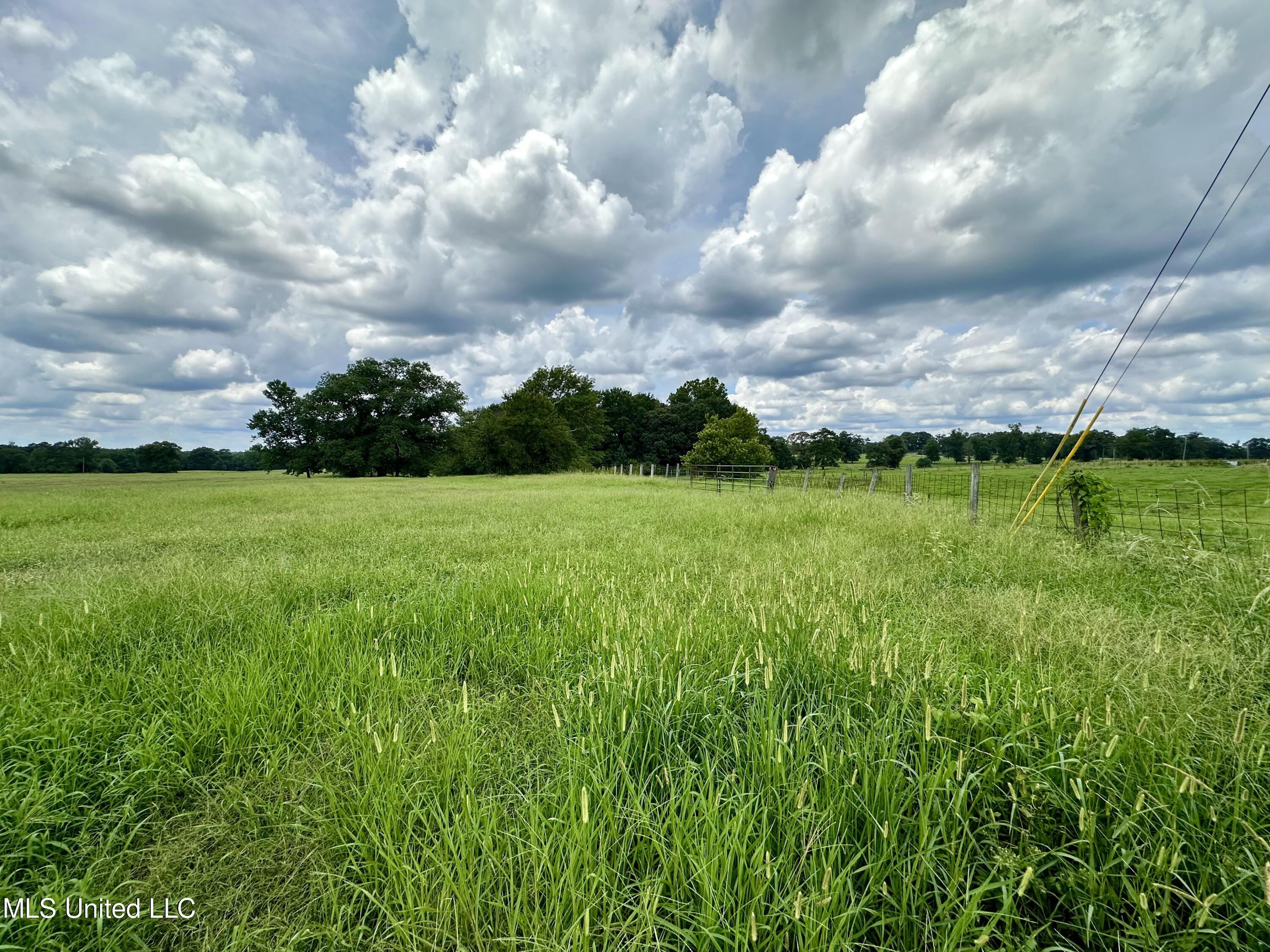 Hwy 532, Mount Olive, Mississippi image 27